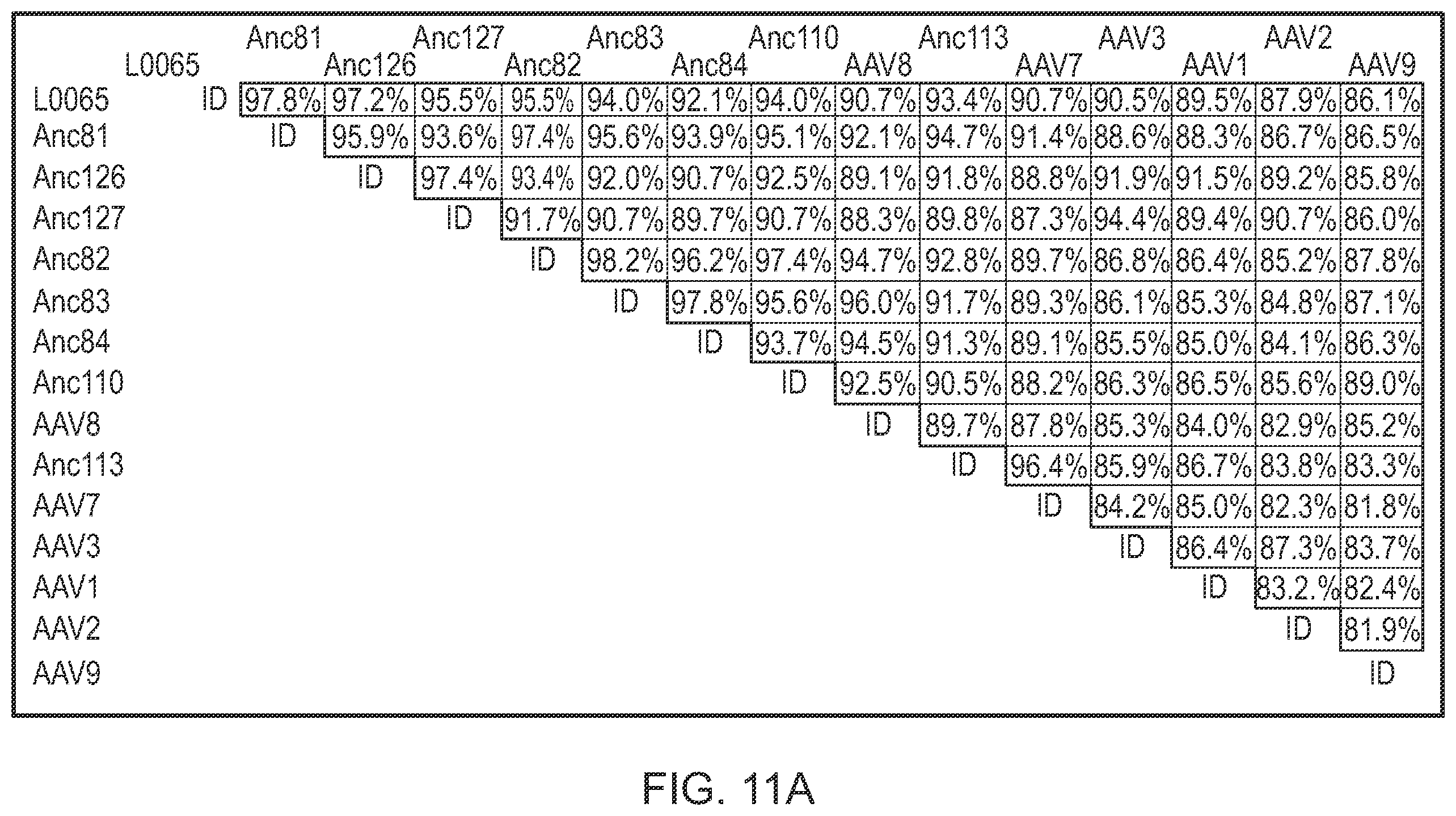Patent US12359174 Figure 16 – Methods of predicting ancestral virus sequences and uses thereof