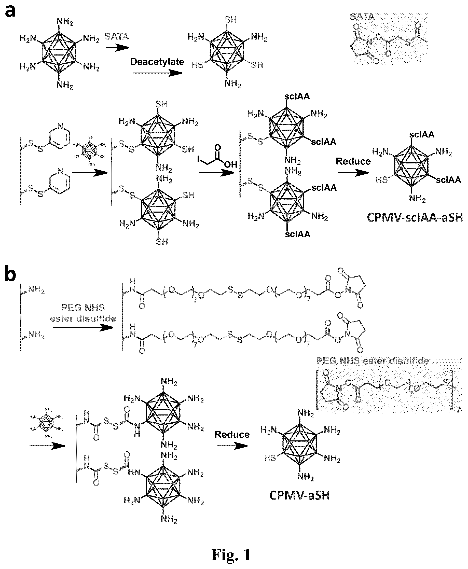 Patent US12359175 Figure 1 – Viral nanoparticle multimers