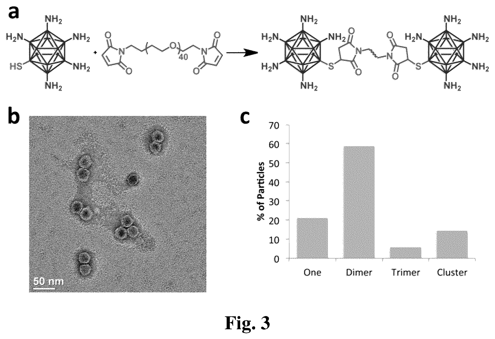 Patent US12359175 Figure 3 – Viral nanoparticle multimers