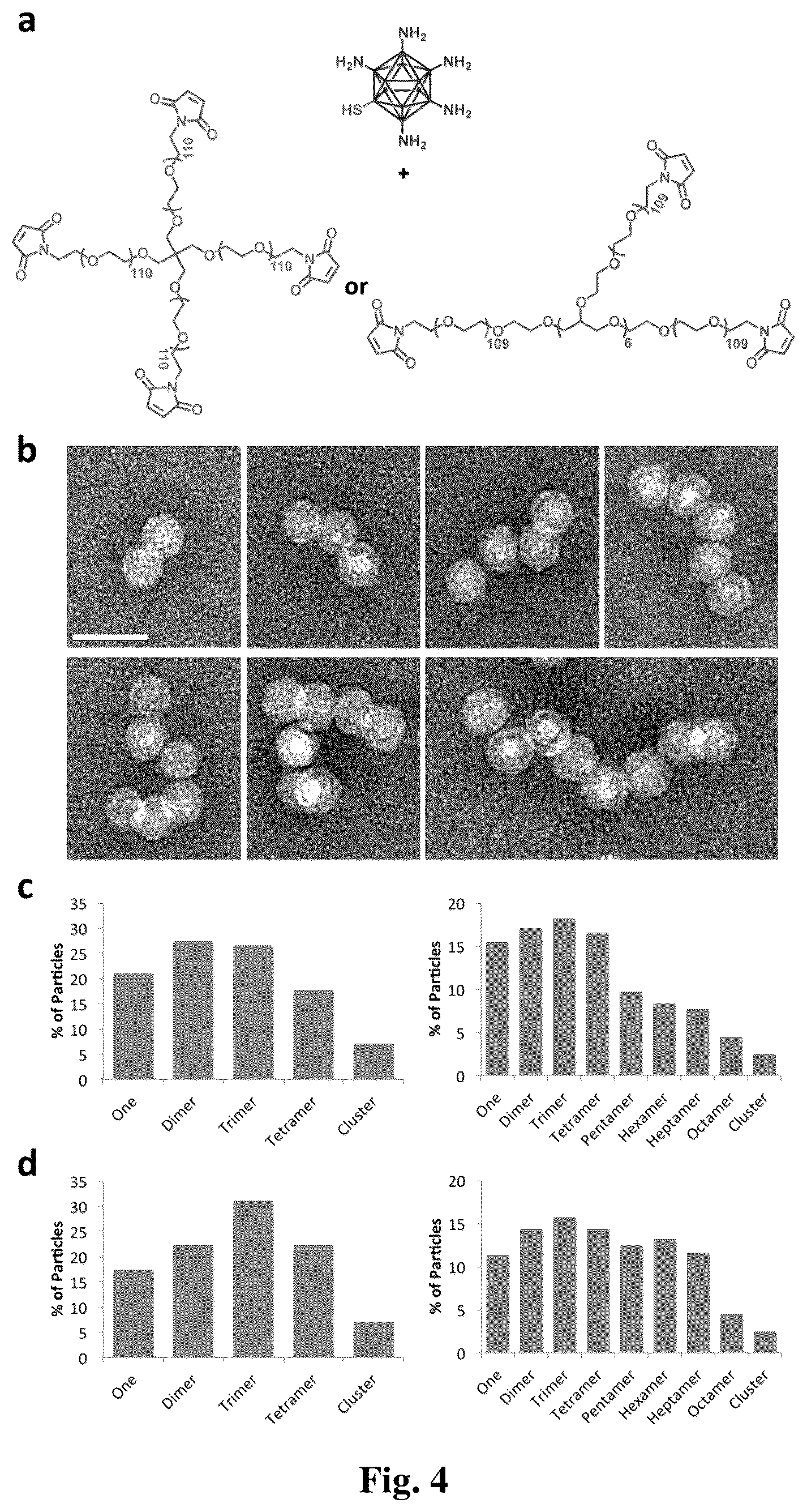 Patent US12359175 Figure 4 – Viral nanoparticle multimers