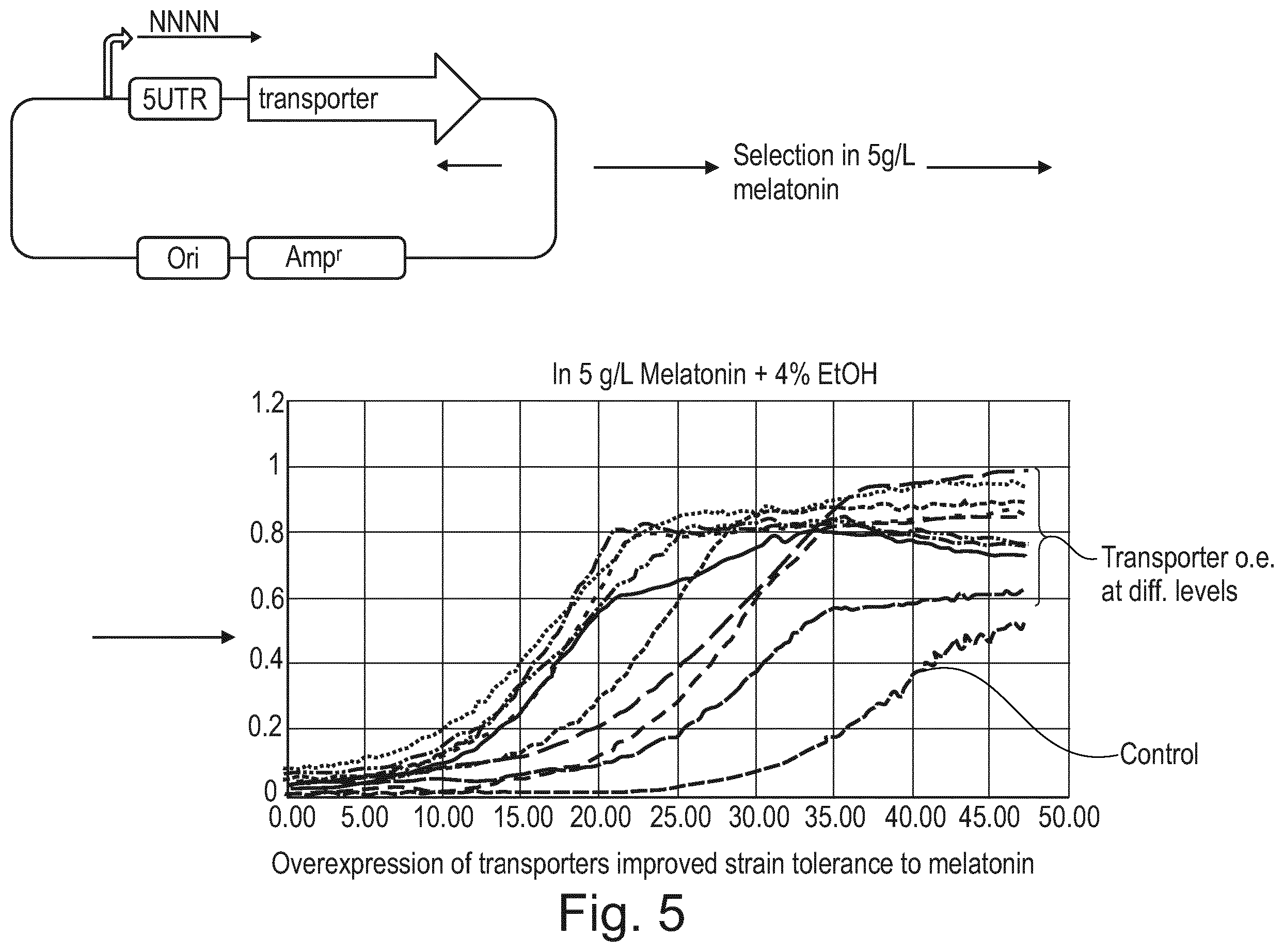 Patent US12359176 Figure 6 – Engineered cells for production of indole-derivatives