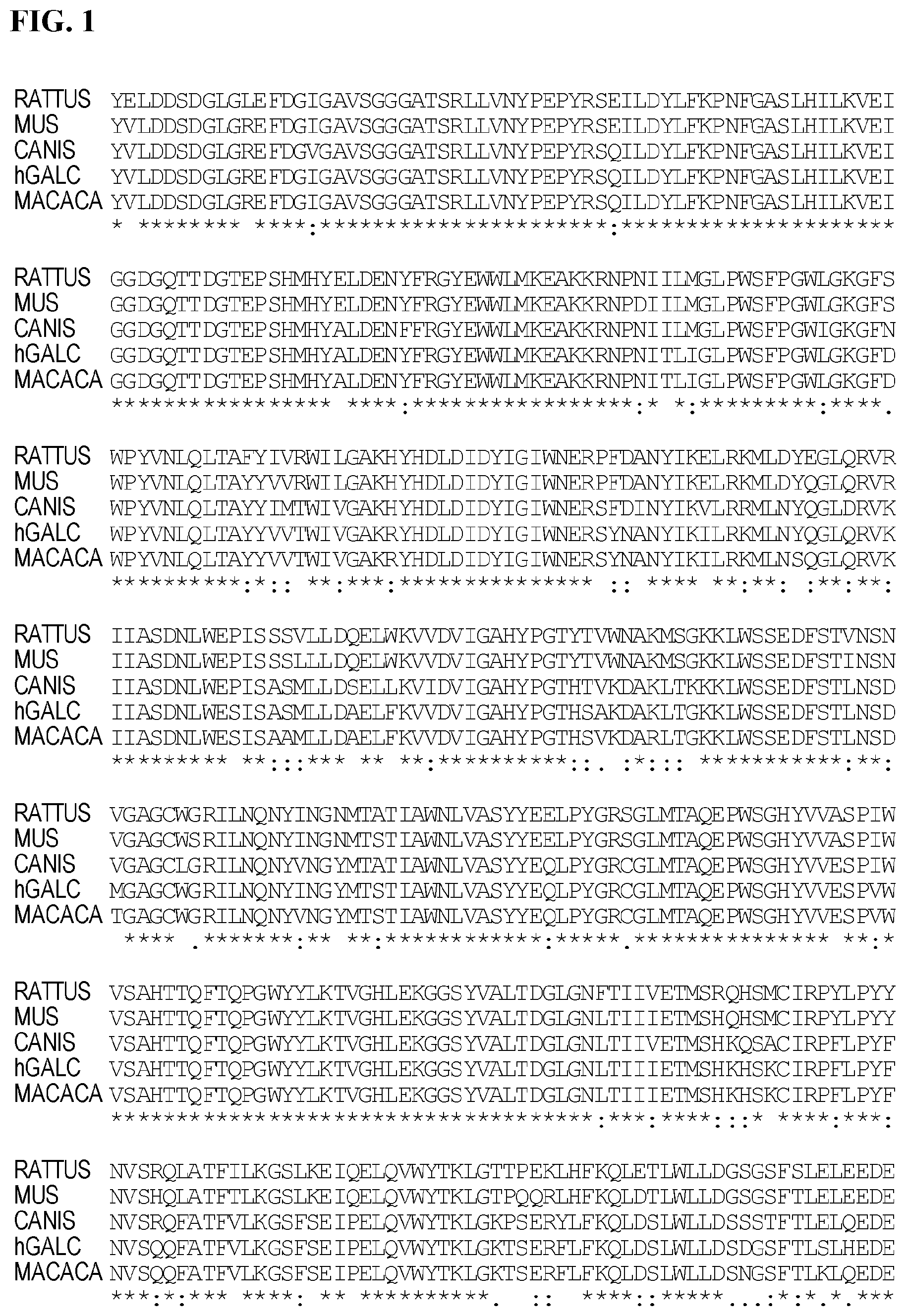 Patent US12359181 — Optimized GALC genes and expression cassettes and their use — Figure 1