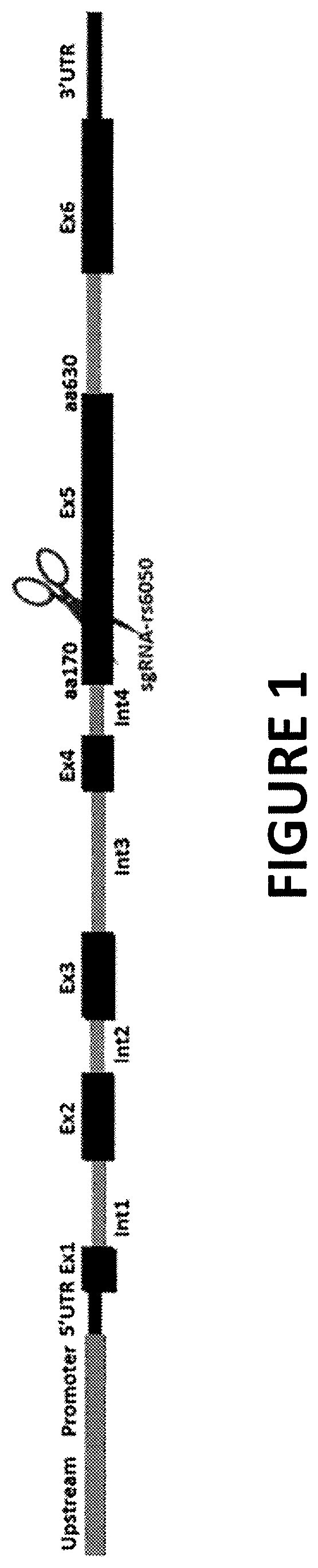 Patent US12359196 Figure 1 – Differential knockout of an allele of a heterozygous fibrinogen alpha chain (FGA) gene