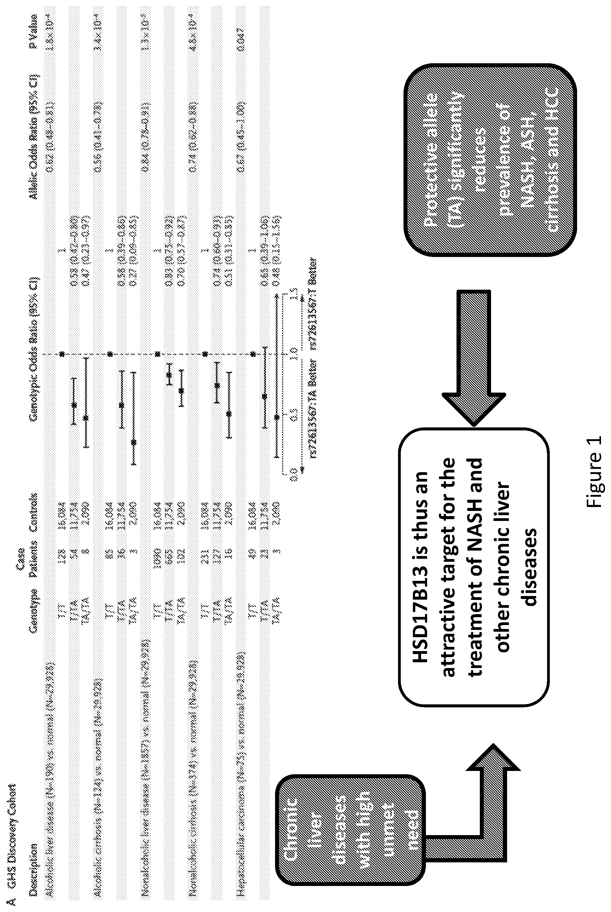 Patent US12359201 Figure 1 – 17ß-hydroxysteroid dehydrogenase type 13 (HSD17B13) iRNA compositions and methods of use thereof