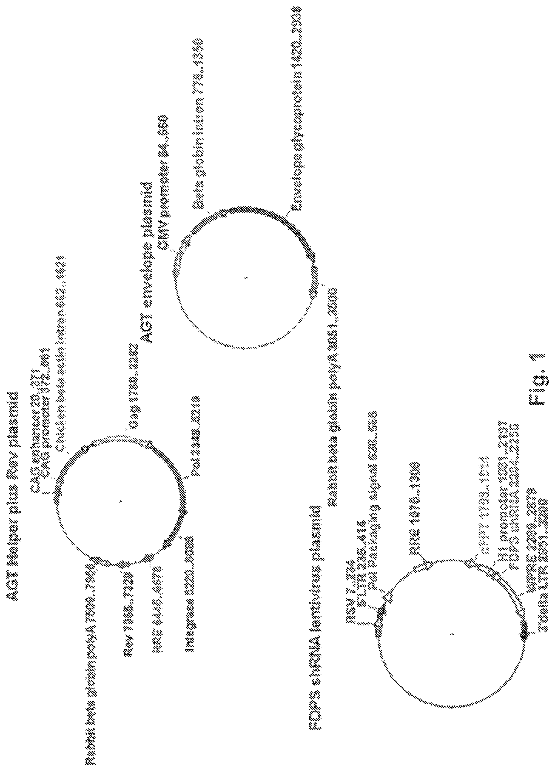Patent US12359203 — Combination vectors and methods for treating cancer — Figure 1