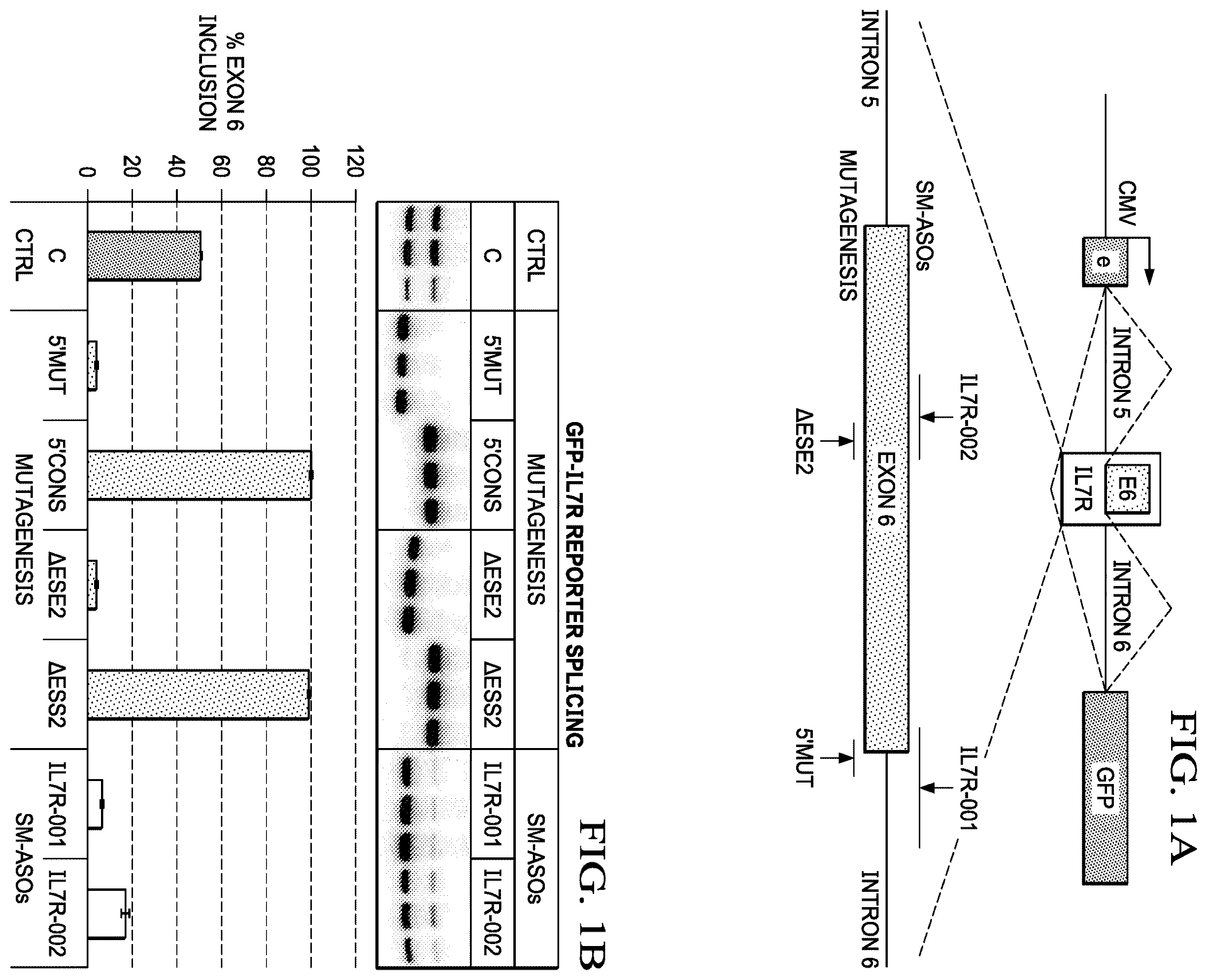 Patent US12359204 — Soluble interleukin-7 receptor (SIL7R) modulating therapy to treat autoimmune diseases and cancer — Figure 1