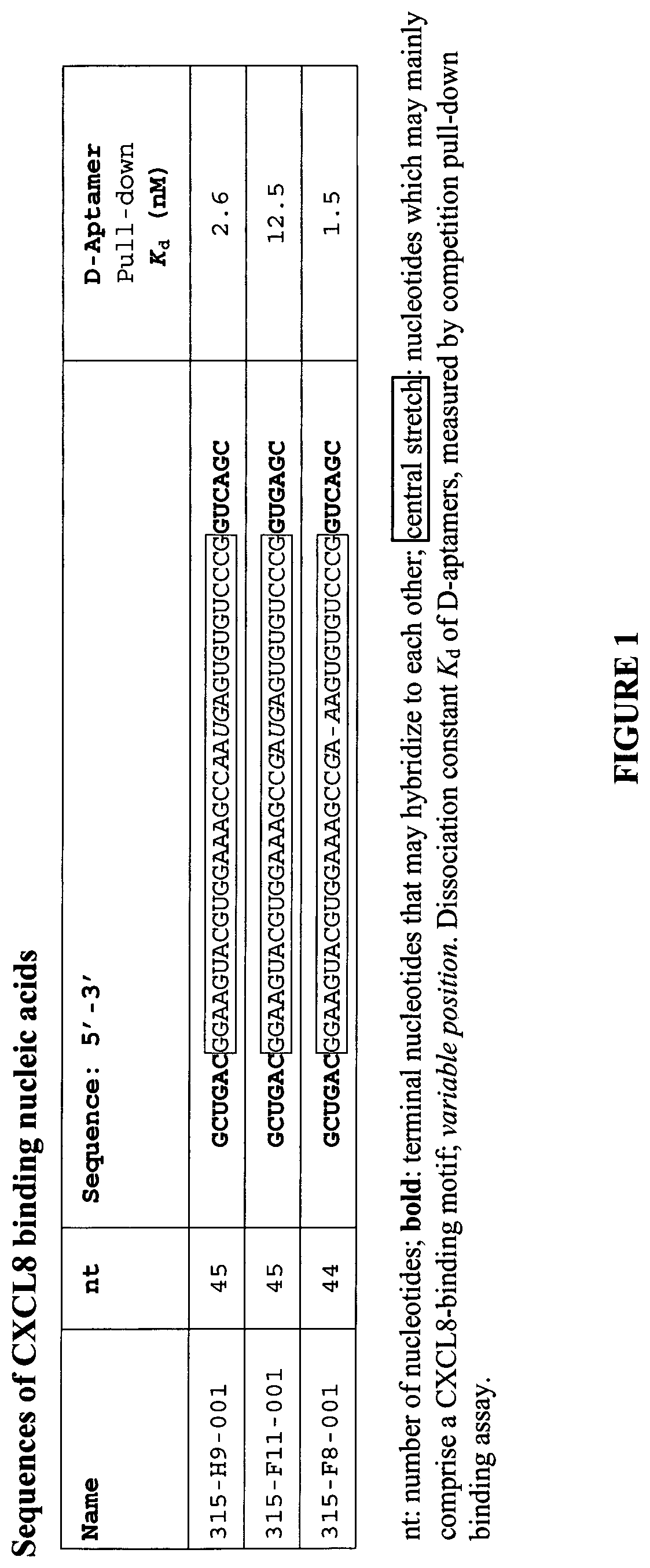 Patent US12359206 — CXCL8 binding nucleic acids — Figure 1