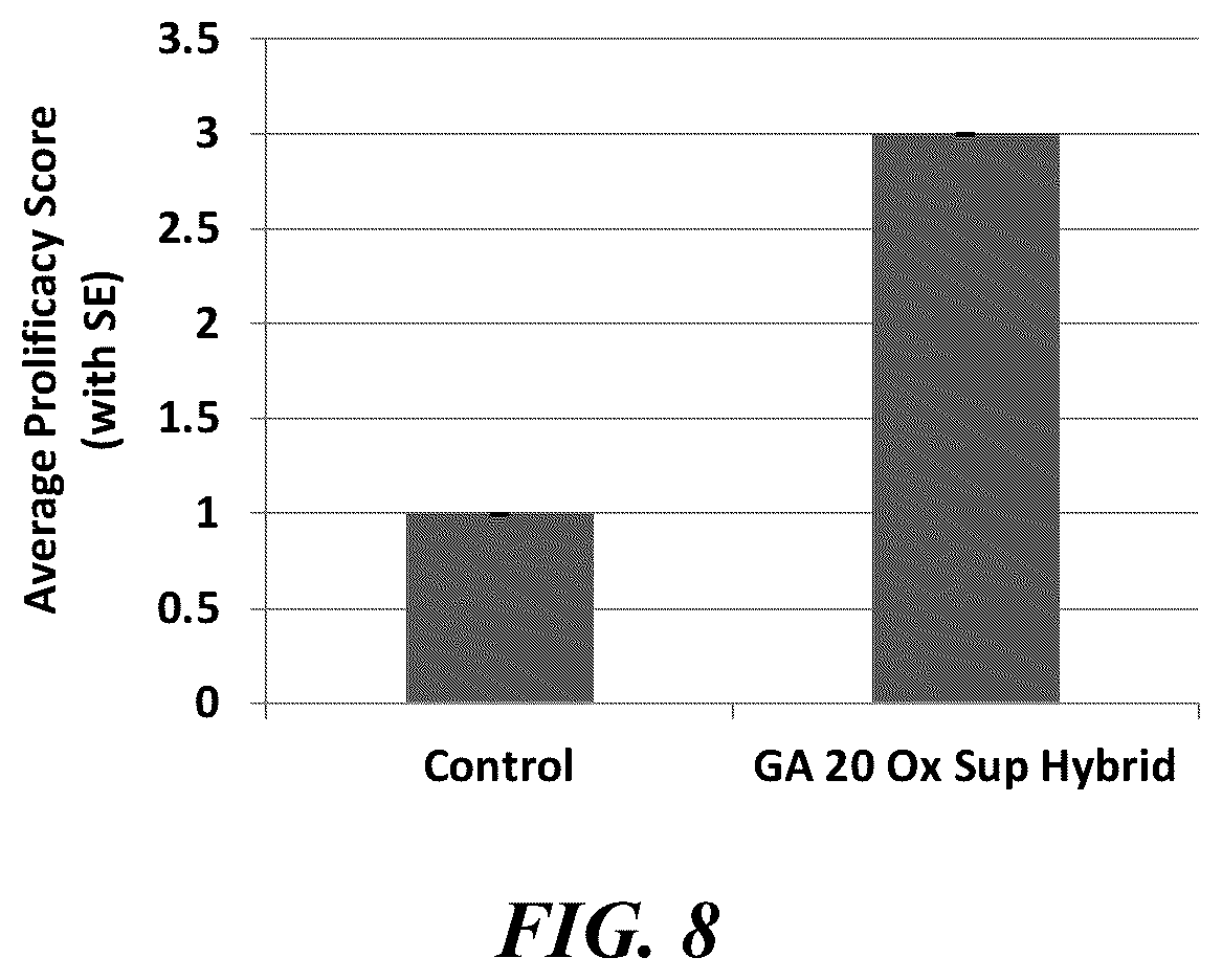 Patent US12359216 Figure 8 – Methods and compositions for short stature plants through manipulation of gibberellin metabolism to increase harvestable yield