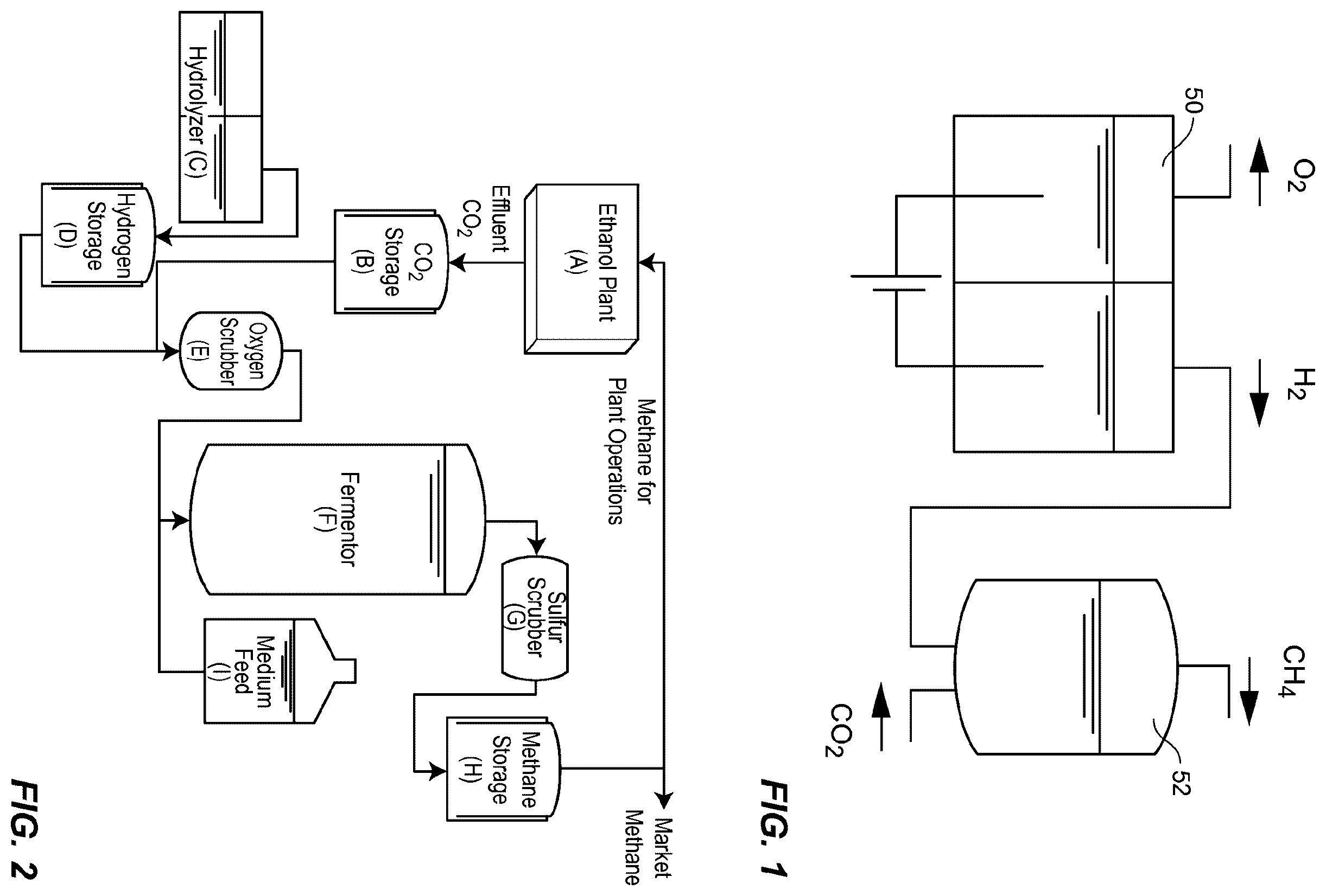 Patent US12359226 — Methanothermobacter thermautotrophicus strain and variants thereof — Figure 1