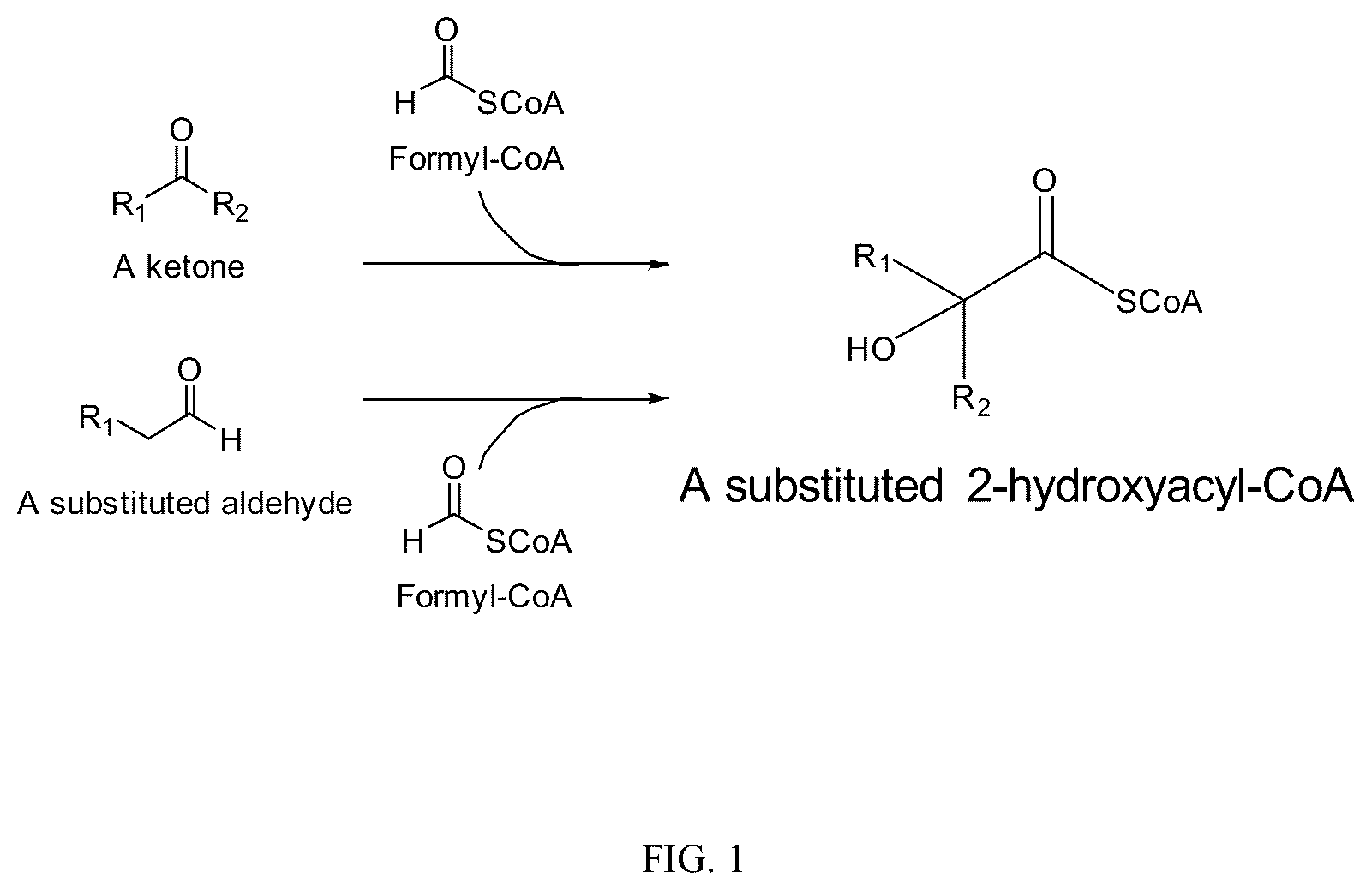 Patent US12359236 — Production of 2-hydroxyacyl-CoAs and derivatives thereof — Figure 1