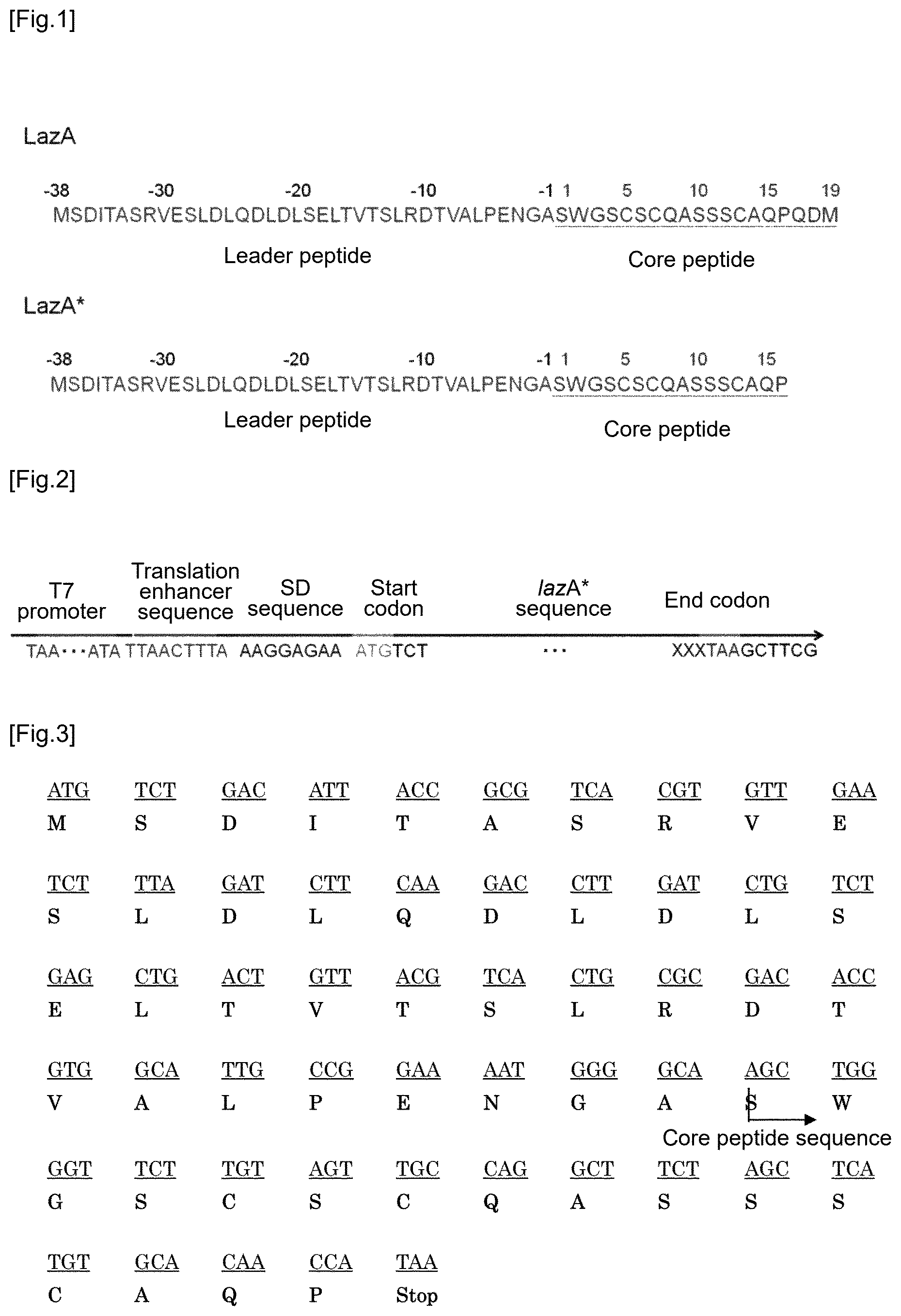 Patent US12359237 — Compound library and method for producing compound library — Figure 1
