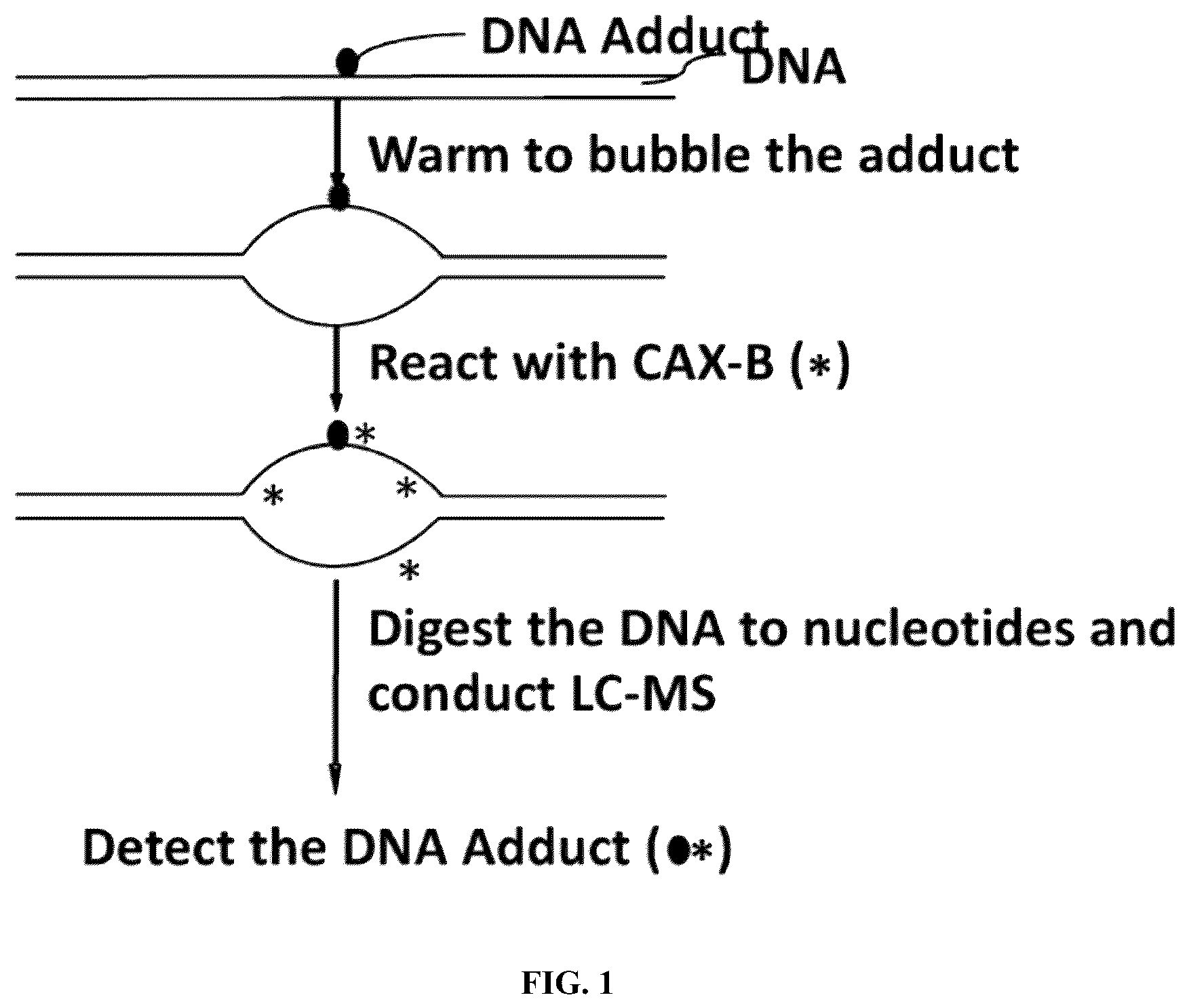 Patent US12359243 — DNA adductomics by mass tag prelabeling — Figure 1