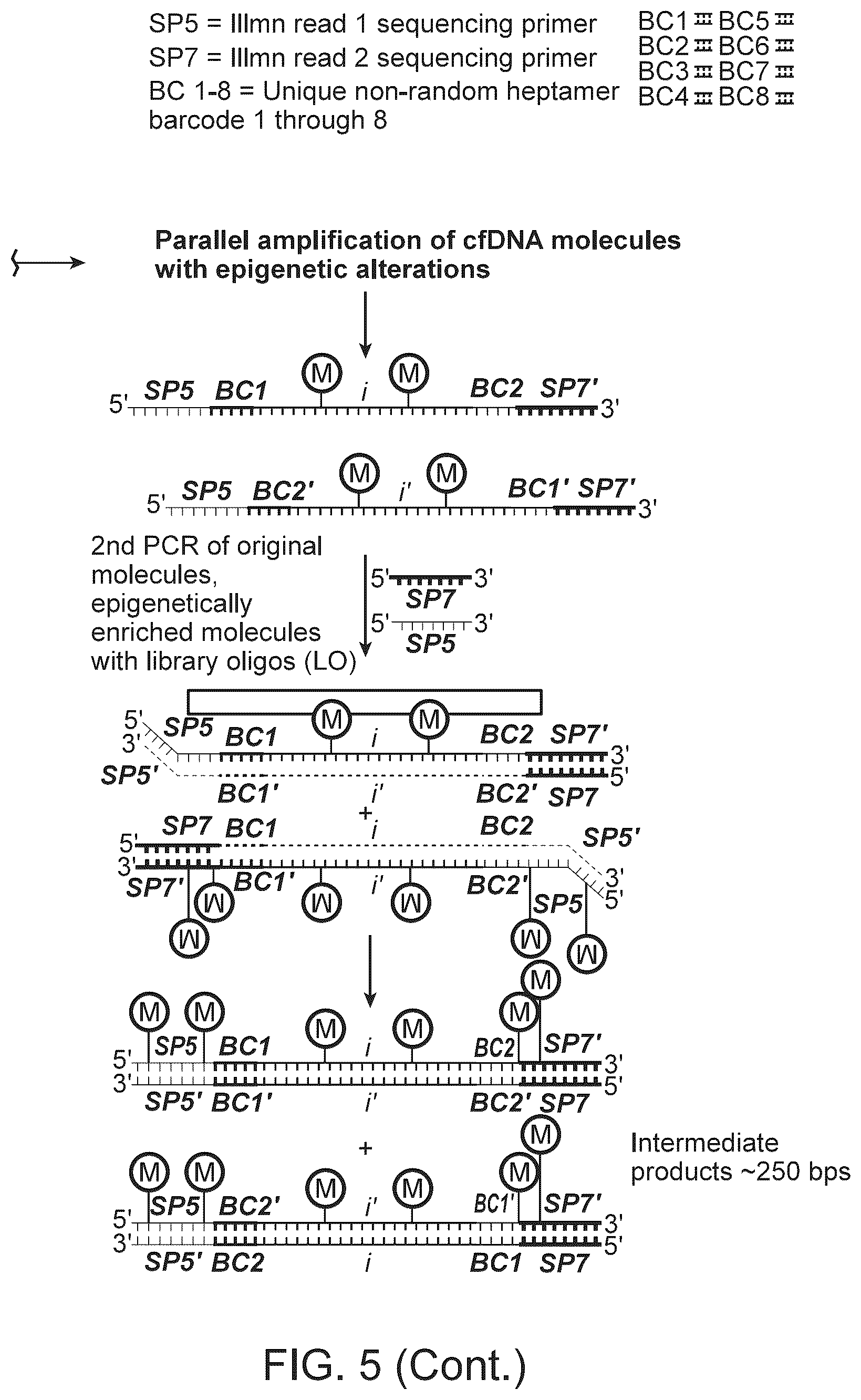 Patent US12359245 Figure 7 – Methods and systems for analyzing nucleic acid molecules