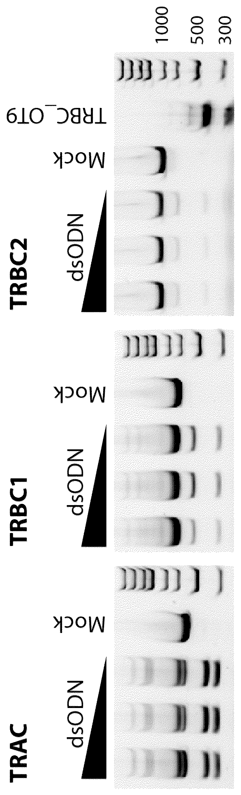 Patent US12359247 — Methods of performing GUIDE-Seq on primary human T cells — Figure 1