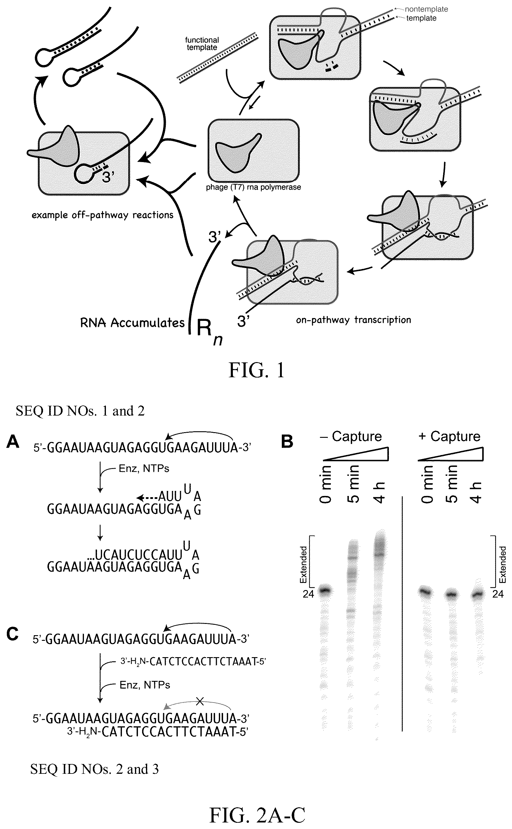 Patent US12359248 Figure 1 – Enzymatic methods to generate high yields of sequence specific RNAs with extreme precision