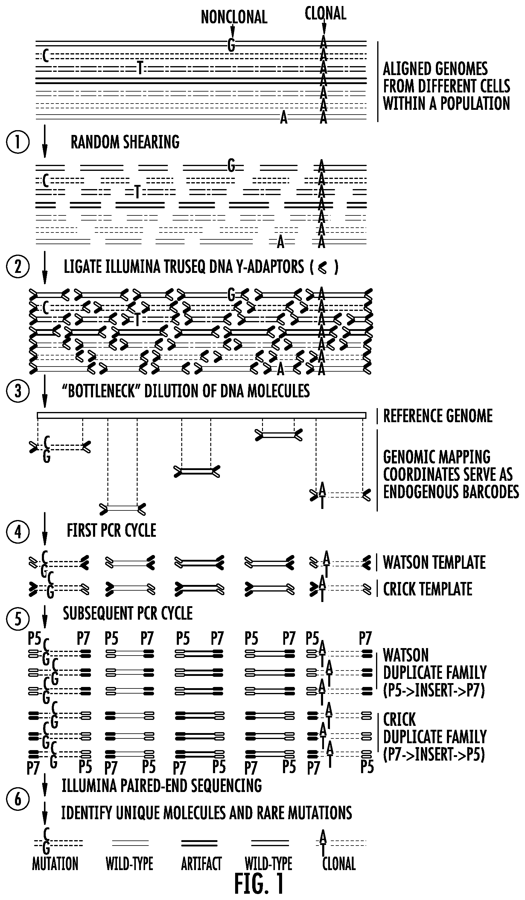 Patent US12359250 — Bottleneck sequencing — Figure 1