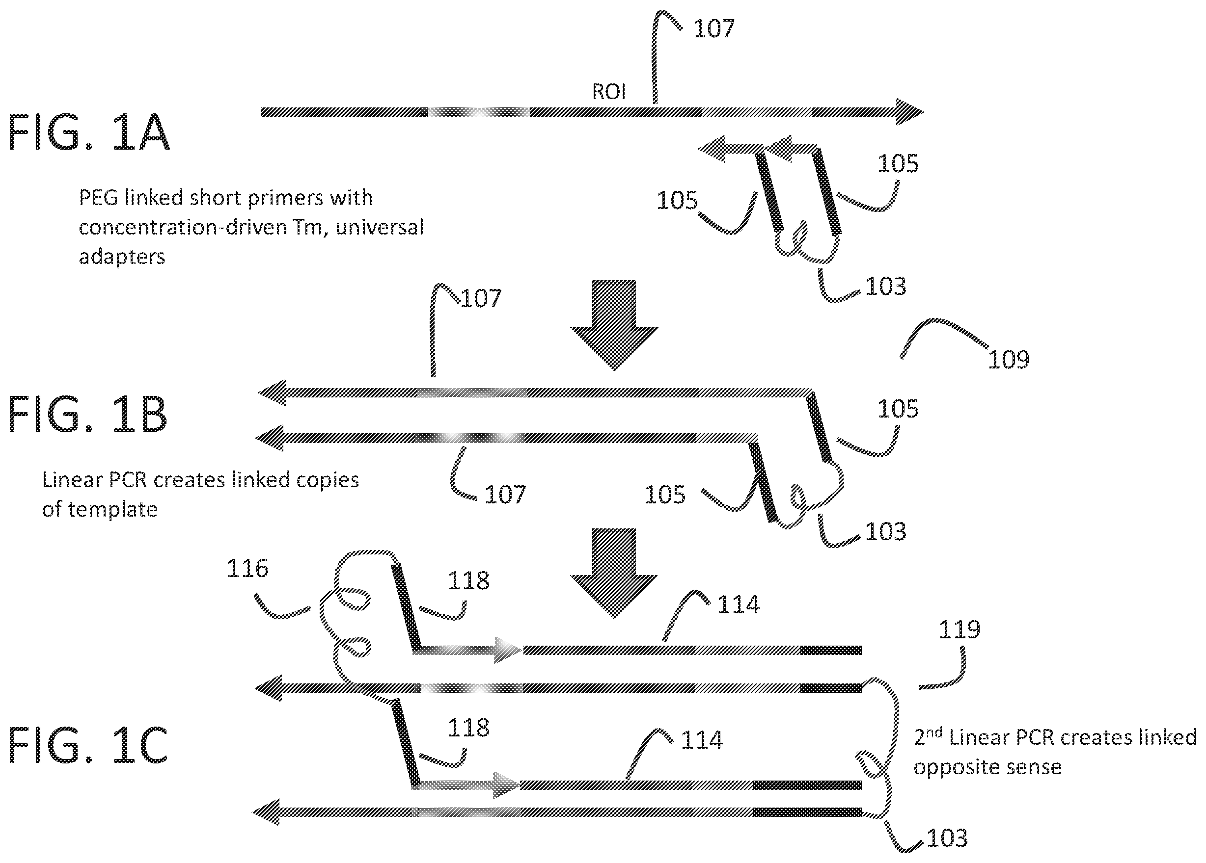 Patent US12359251 — Linked target capture — Figure 1