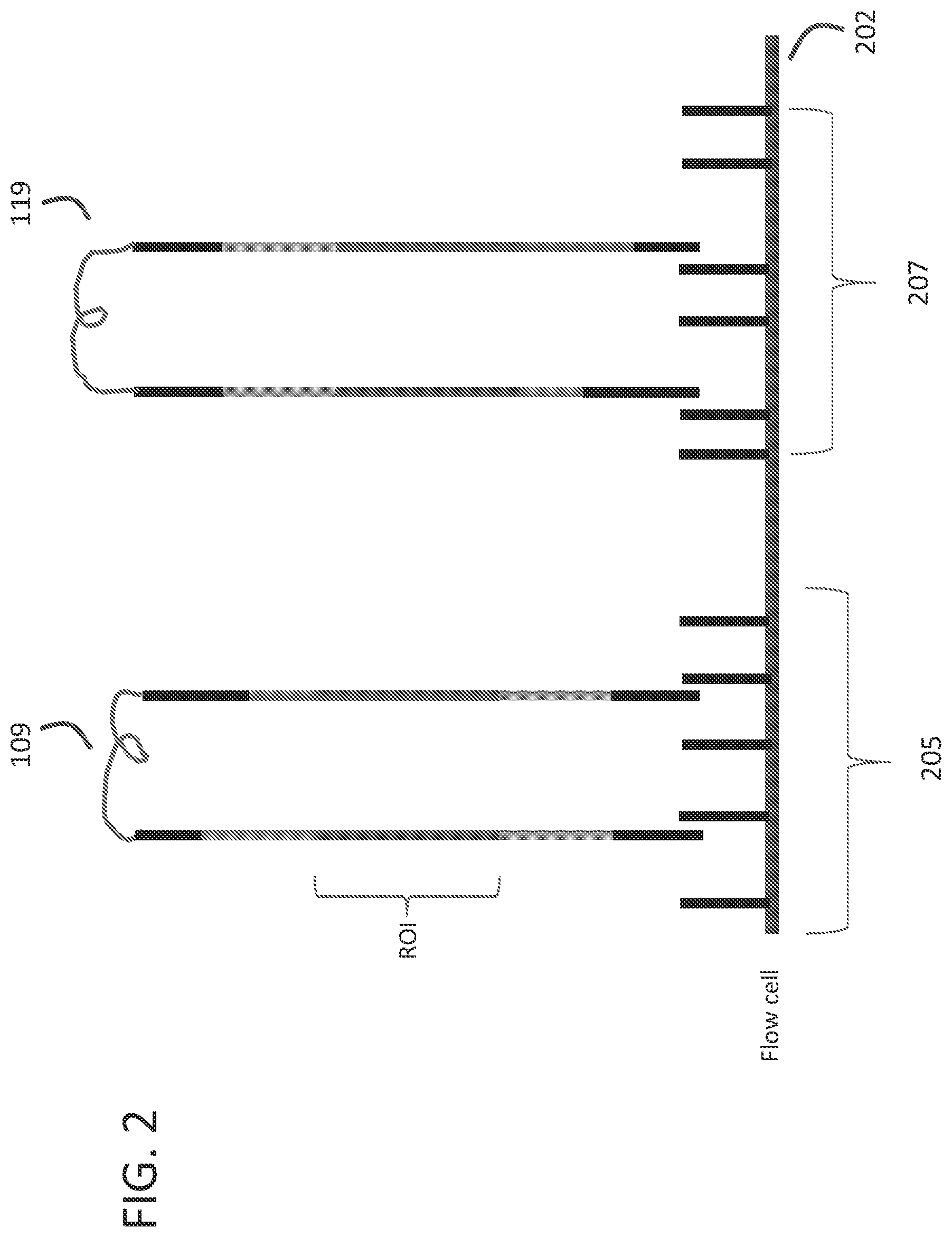 Patent US12359251 Figure 3 – Linked target capture
