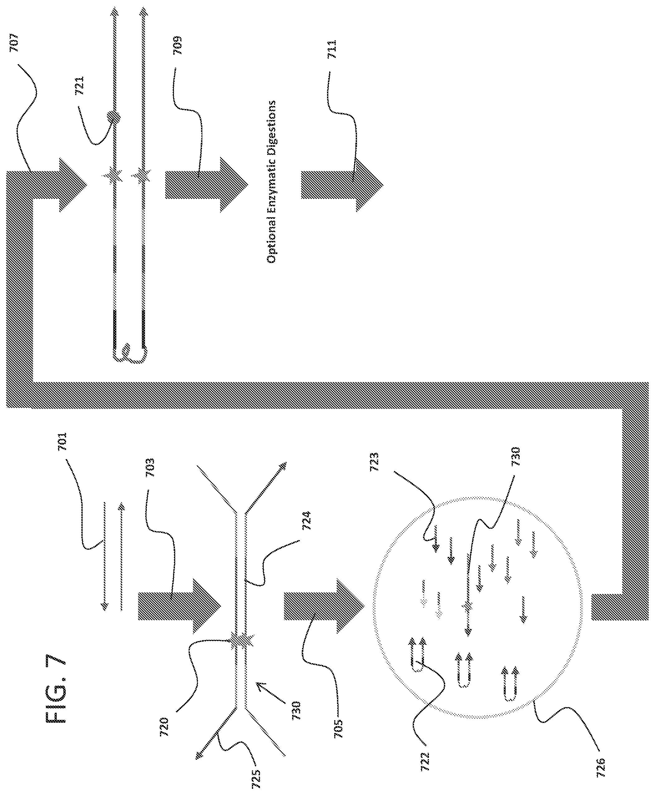 Patent US12359251 Figure 10 – Linked target capture