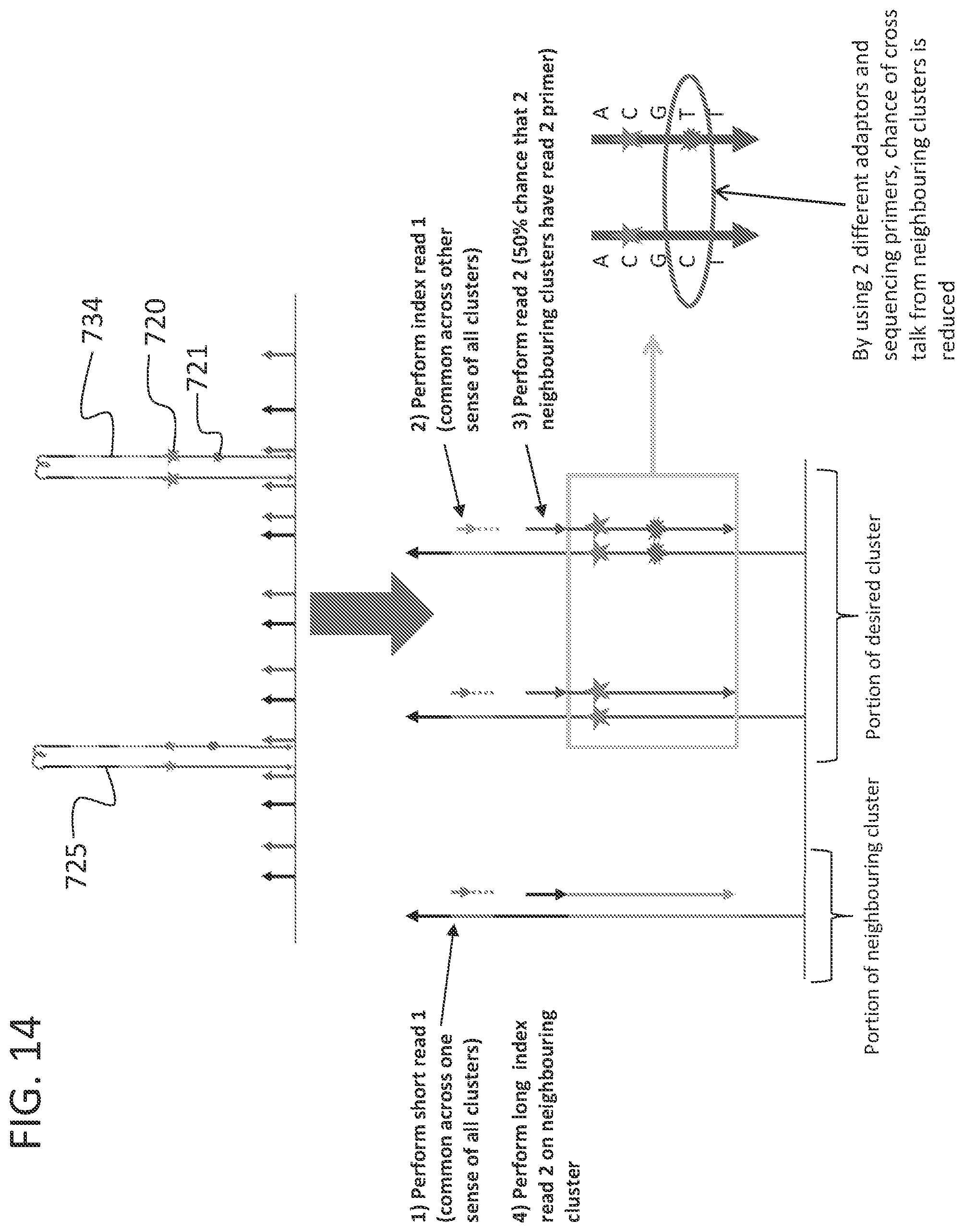 Patent US12359251 Figure 17 – Linked target capture