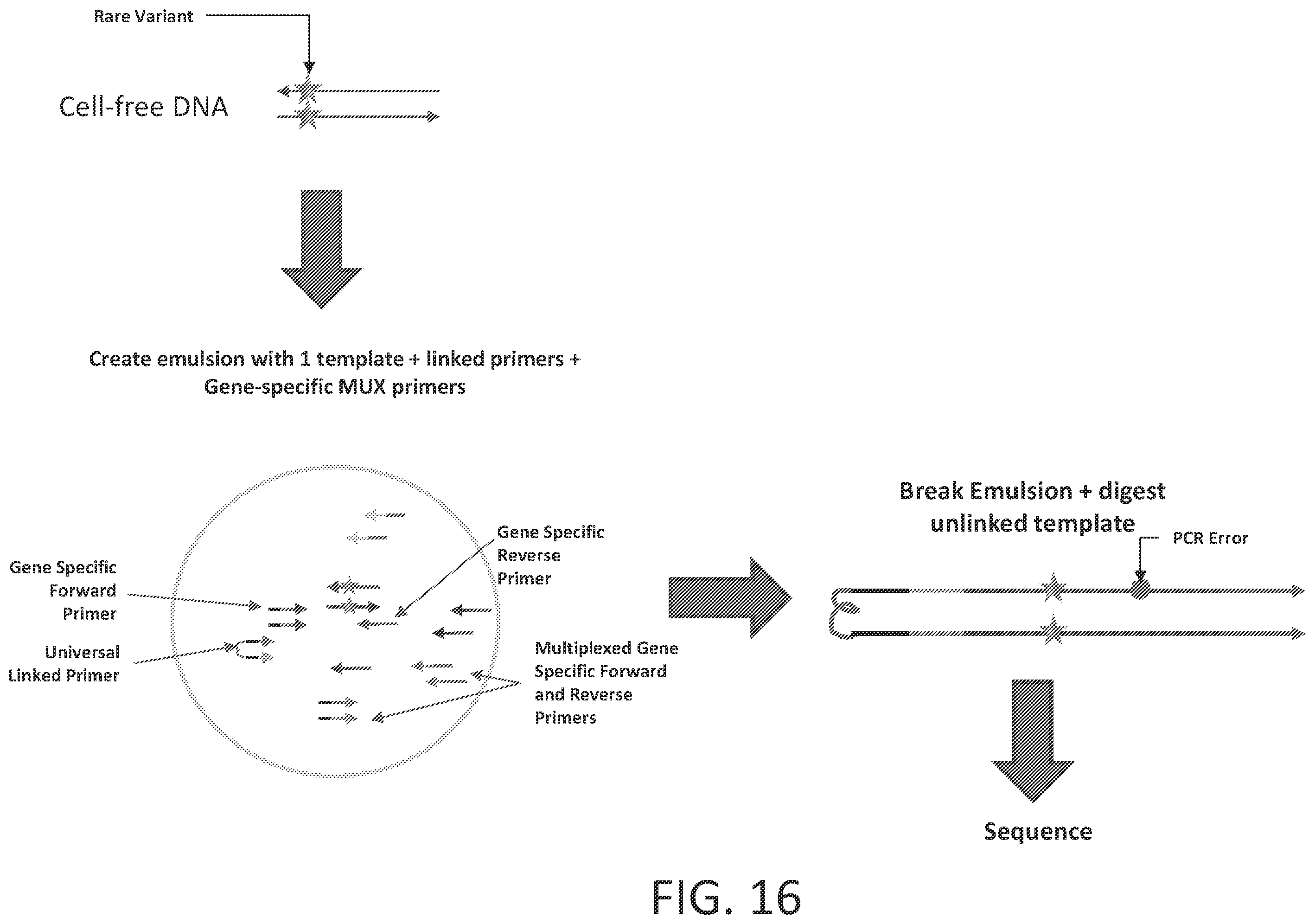 Patent US12359251 Figure 19 – Linked target capture