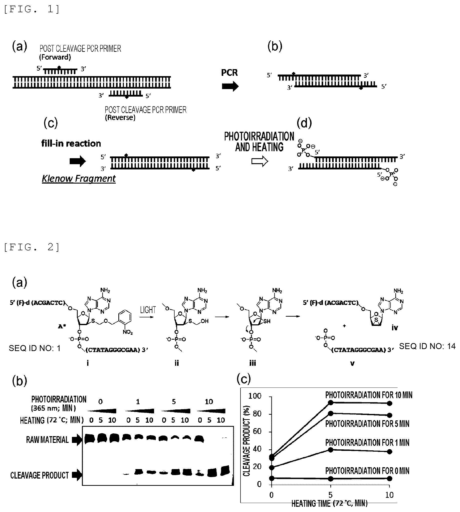 Patent US12359254 — Primer, device for producing double-stranded DNA using primer, and method for producing double-stranded DNA using primer — Figure 1