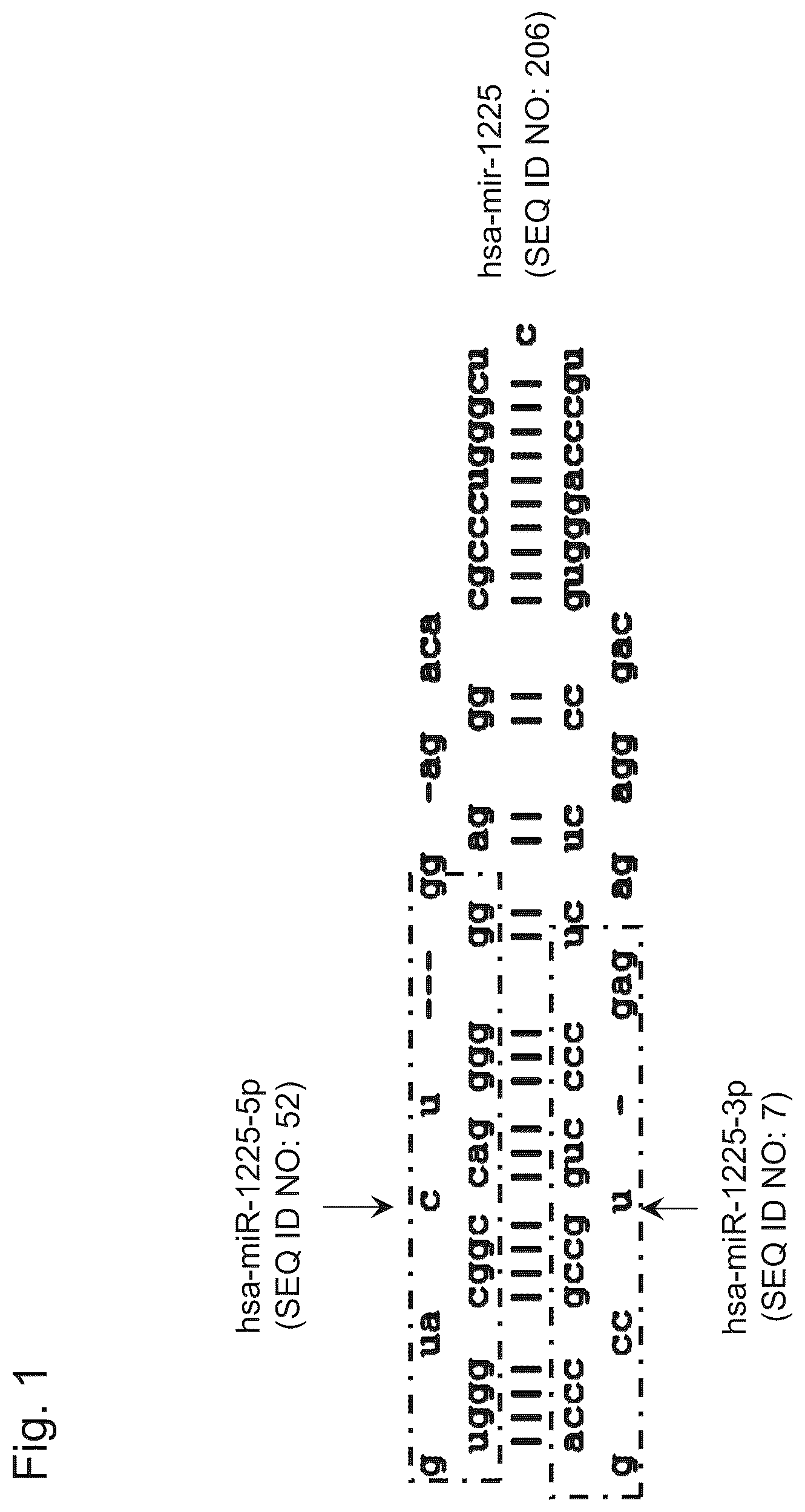 Patent US12359260 — Stomach cancer detection kit or device, and detection method — Figure 1