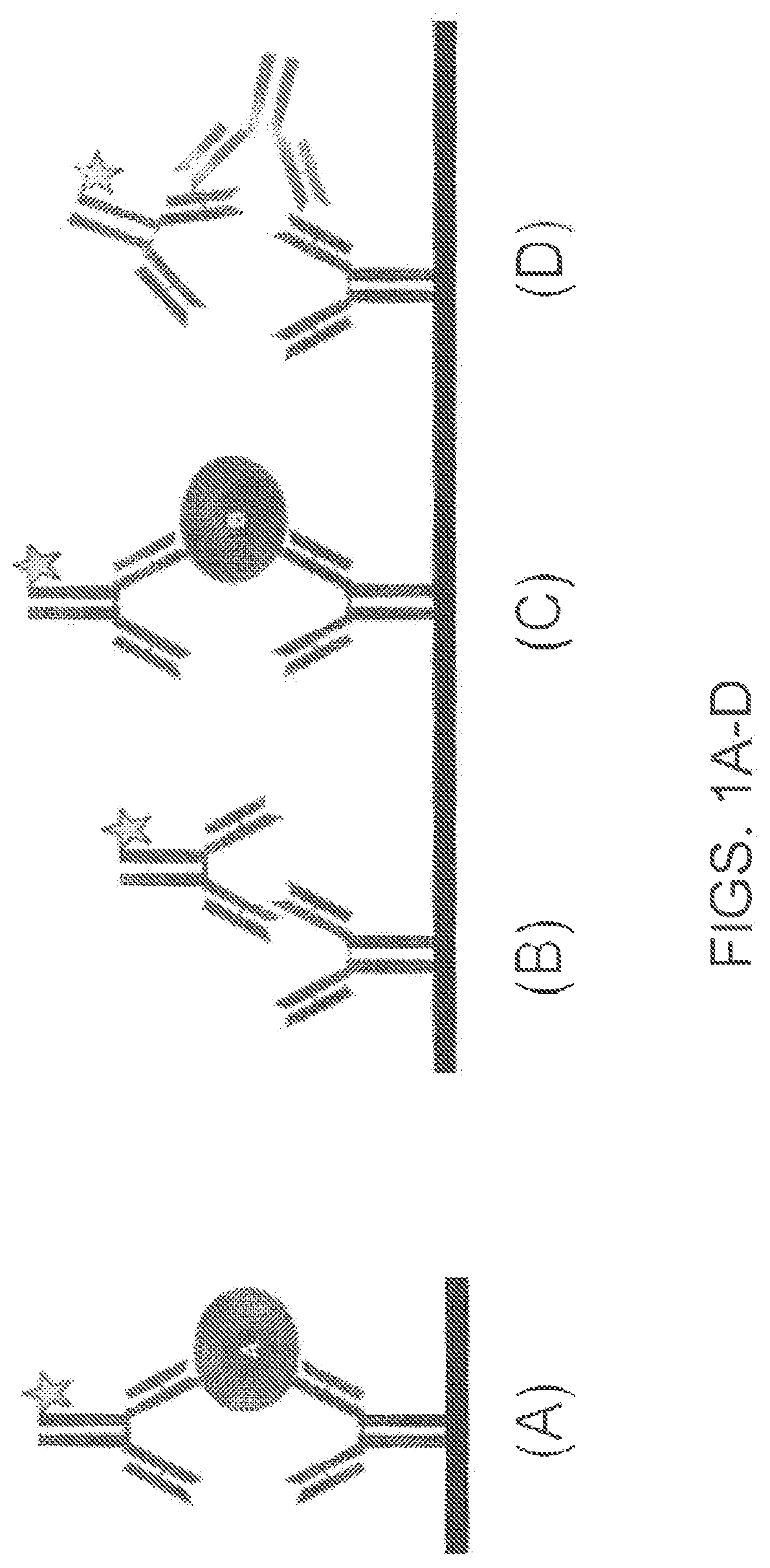 Patent US12359264 — Co-binder assisted assay methods — Figure 1