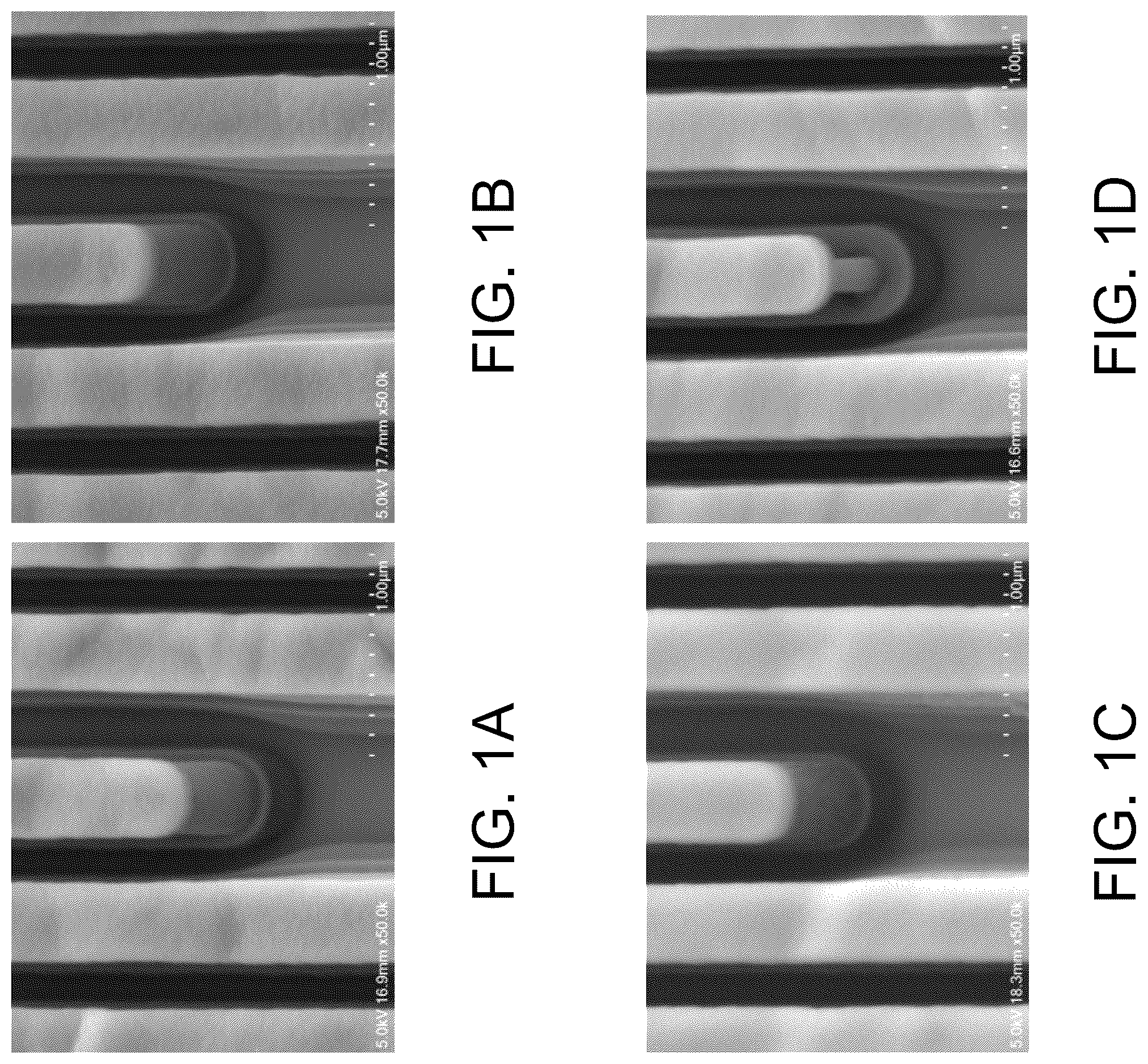 Patent US12359321 — Stripper composition and cleaning method — Figure 1