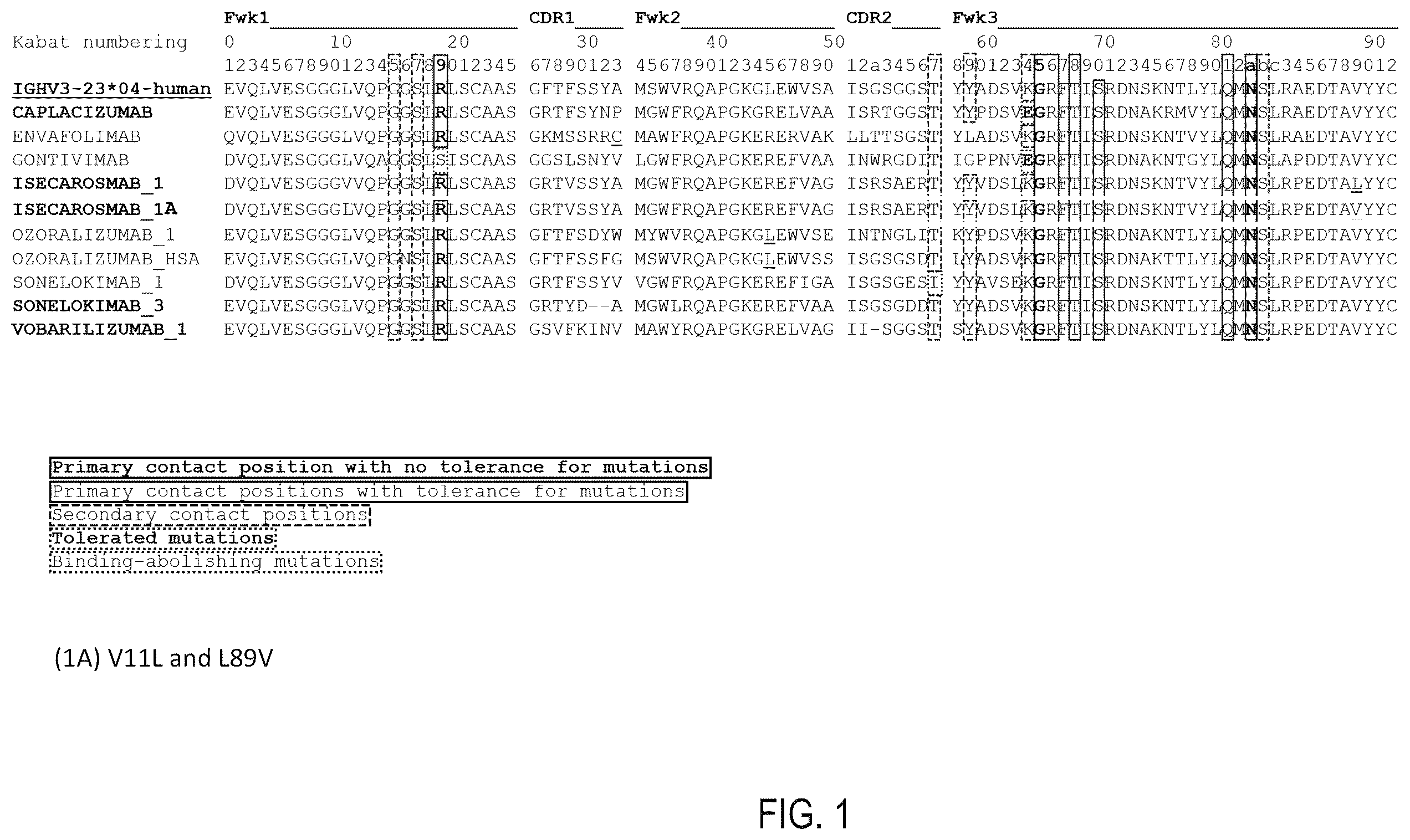 Patent US12359345 — Single domain antibody libraries with maximized antibody developability characteristics — Figure 1