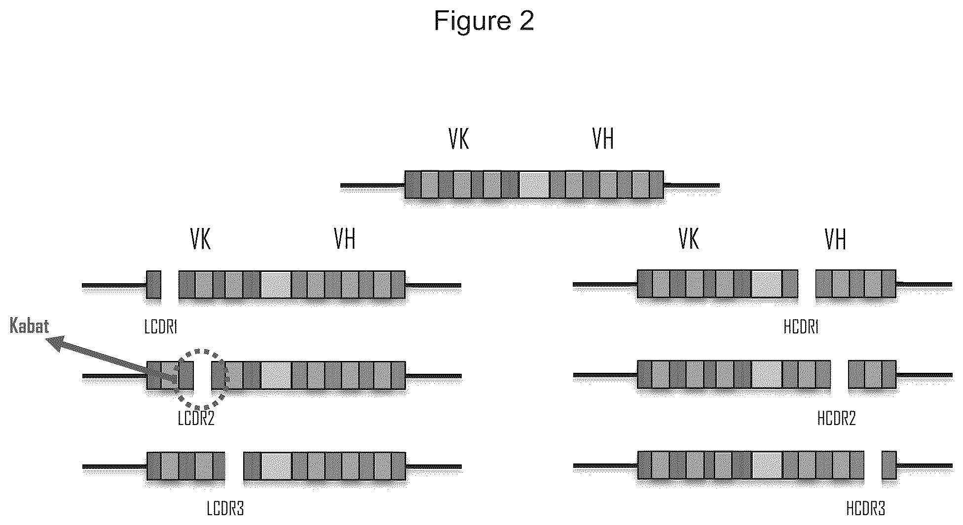 Patent US12359346 Figure 2 – Antibody libraries with maximized antibody developability characteristics