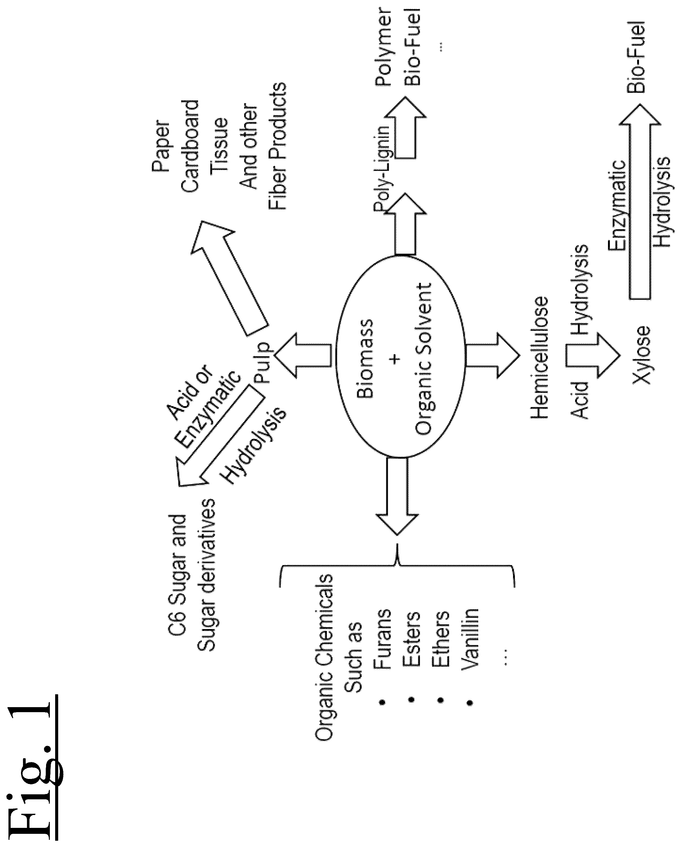 Patent US12359372 — Catalyst free organosolv process, system and method for fractionation of lignocellulosic materials and bioproducts recovery — Figure 1