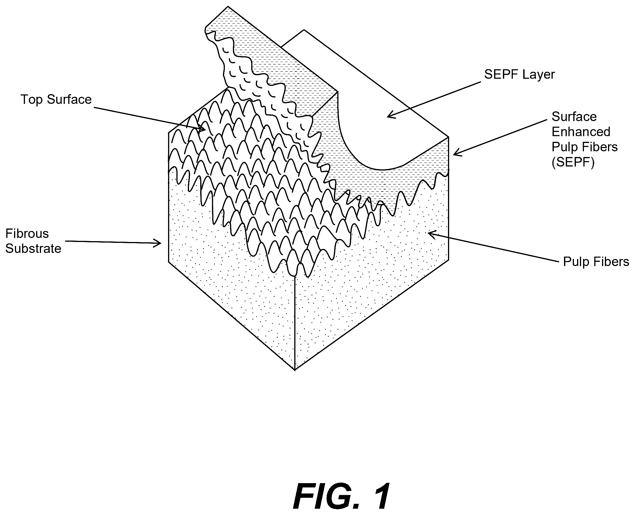 Patent US12359375 — Surface enhanced pulp fibers at a substrate surface — Figure 1