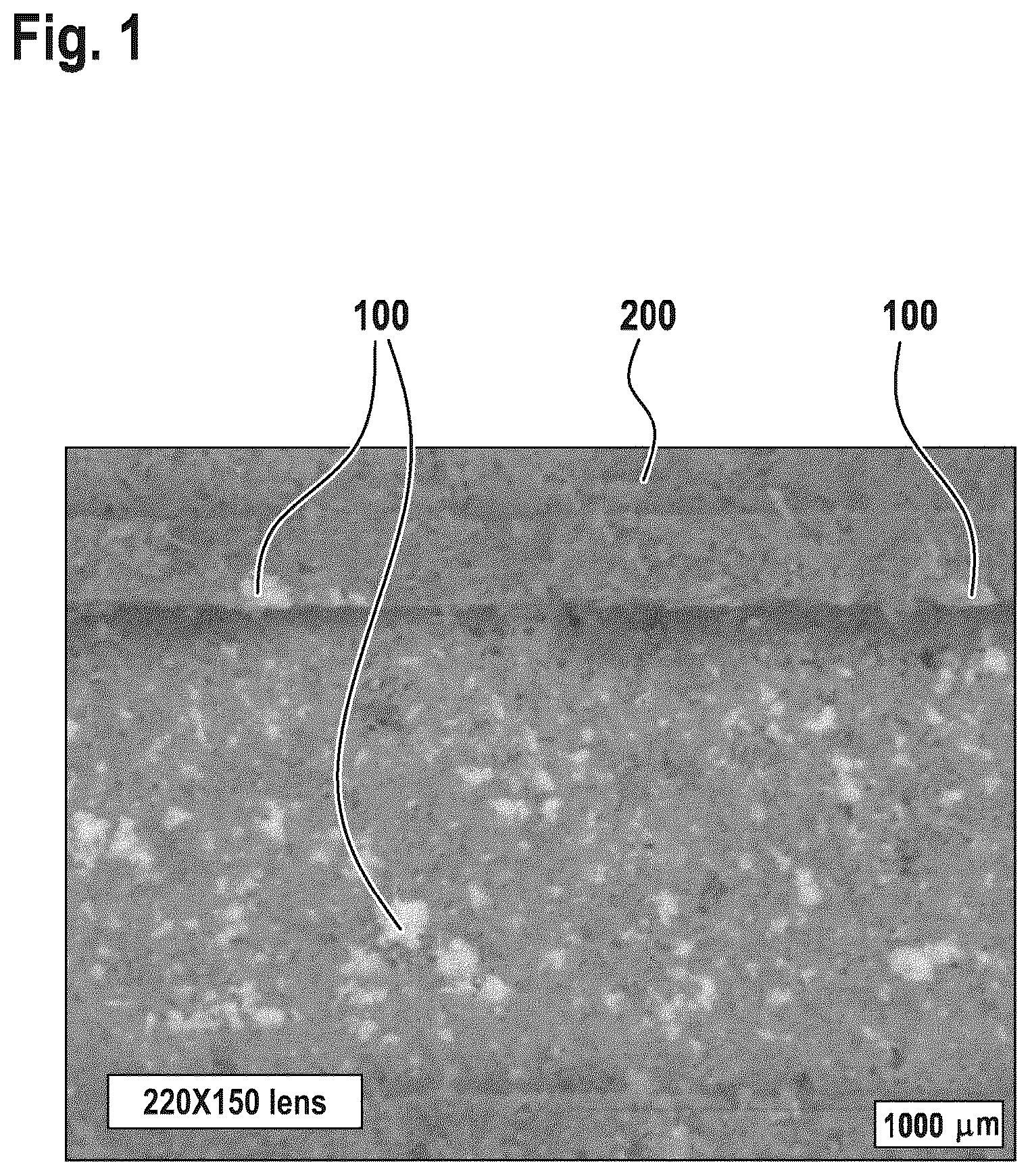 Patent US12359595 — Particle filter with a plurality of coatings — Figure 1