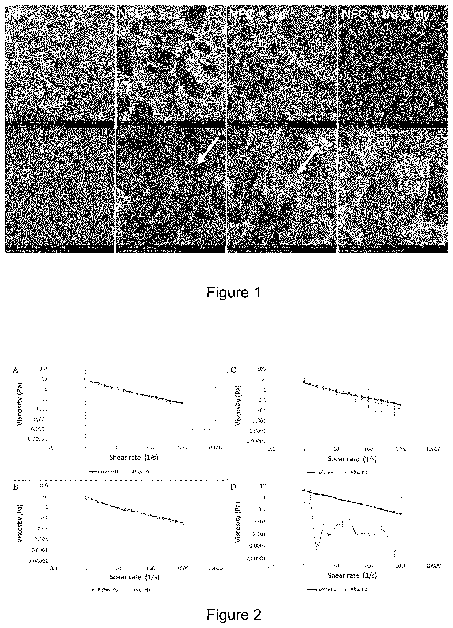 Patent US12359870 — Method for freeze-drying a hydrogel composition and a freeze-dried hydrogel composition — Figure 1