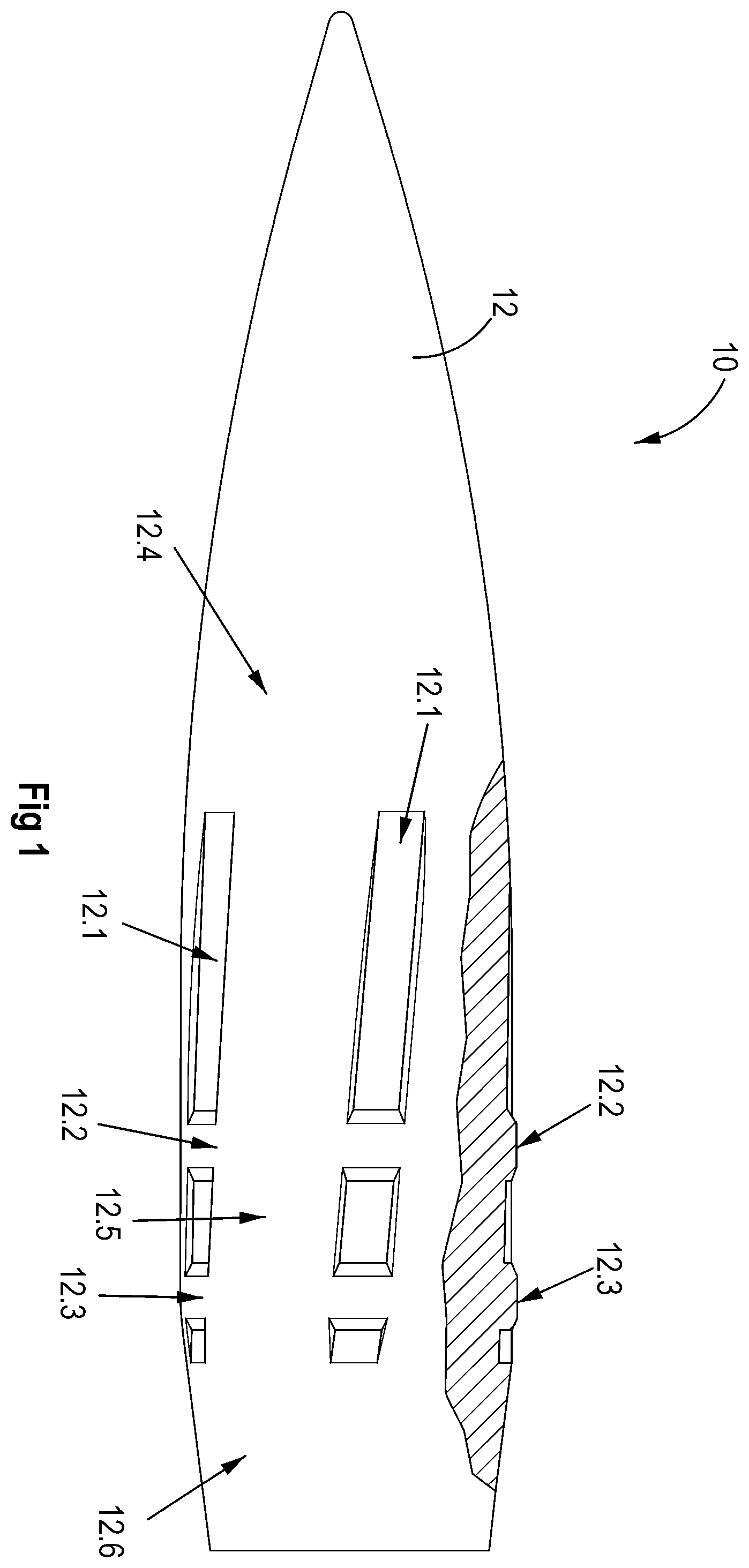 Patent US12359898 — Rifle cartridge and rifle bullet — Figure 1