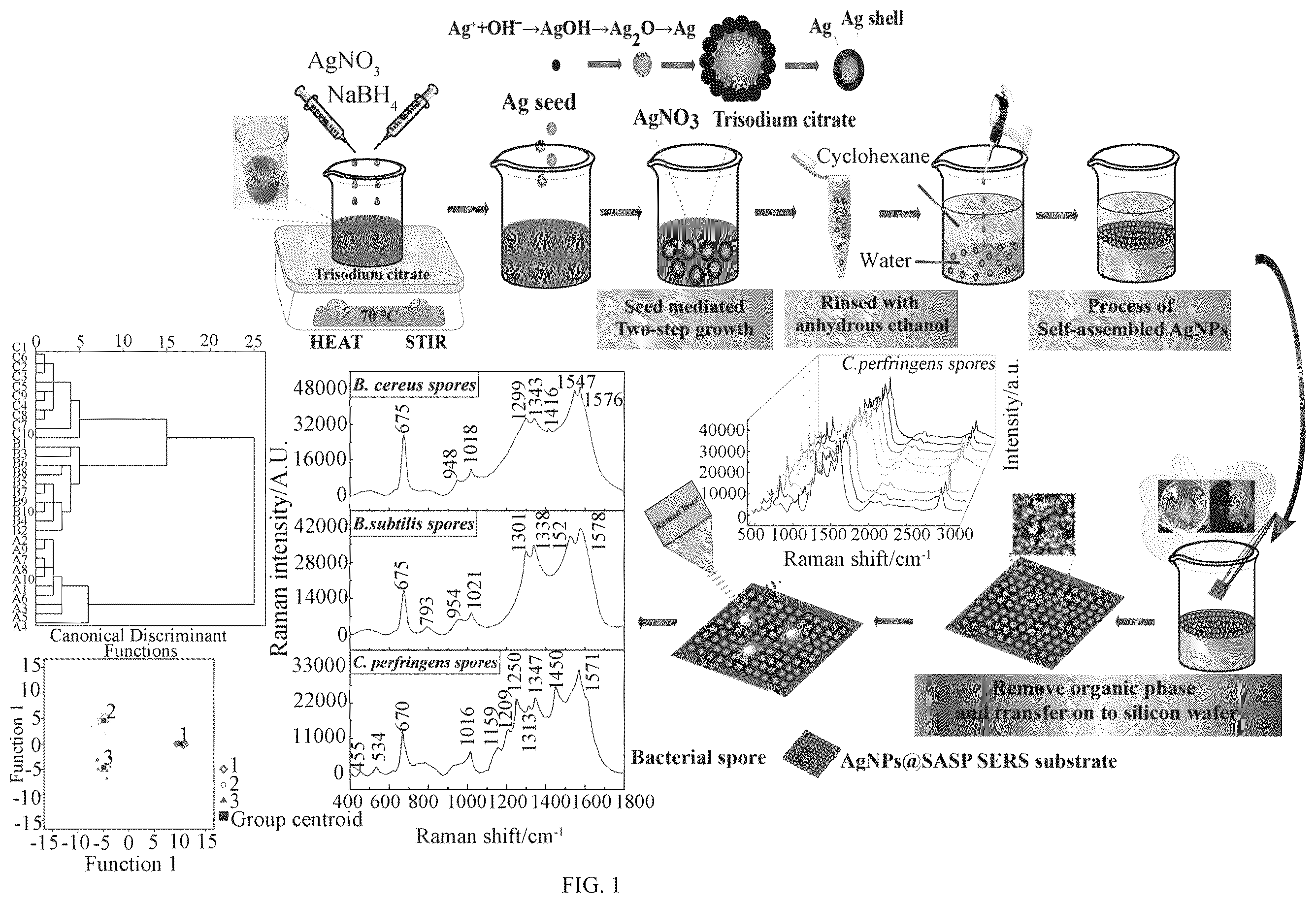 Patent US12360046 — Method for preparing AgNPs@Sasp substrate material and application thereof — Figure 1