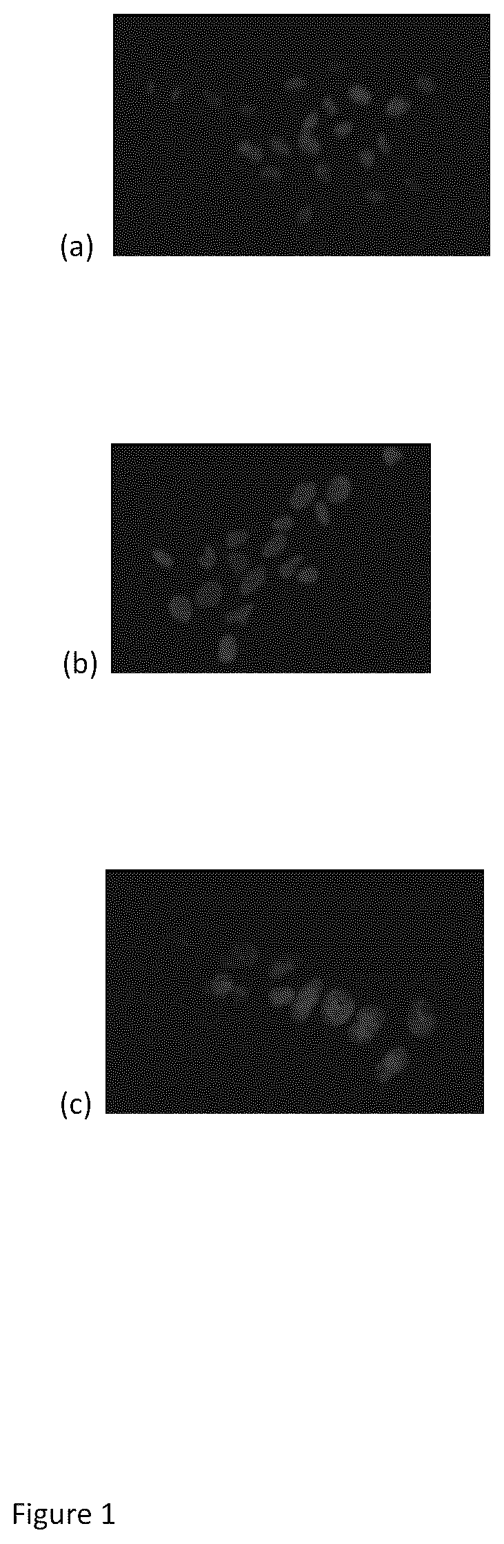 Patent US12360112 — Method for identification of viruses and diagnostic kit using the same — Figure 1