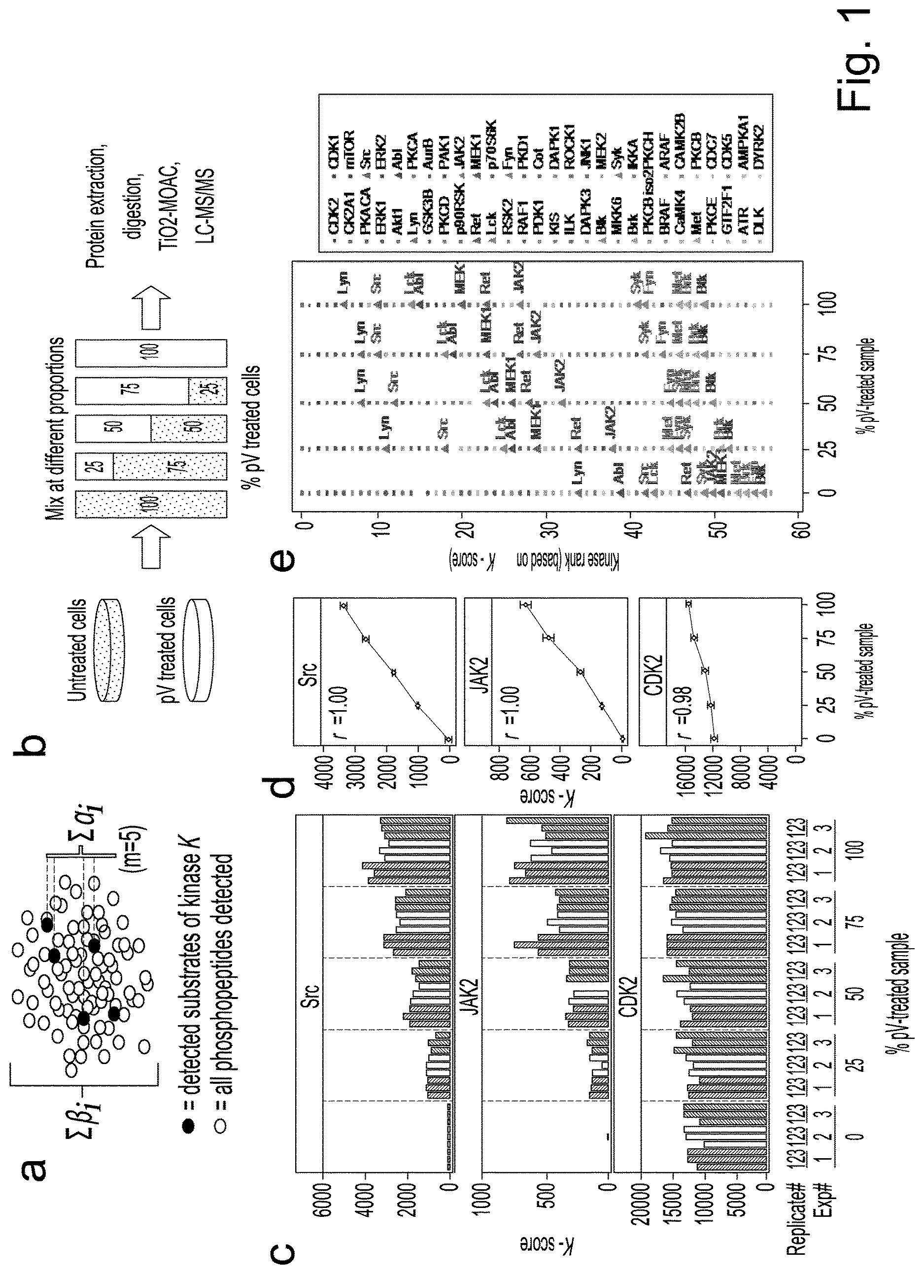 Patent US12360118 — Method for protein kinase activity ranking — Figure 1