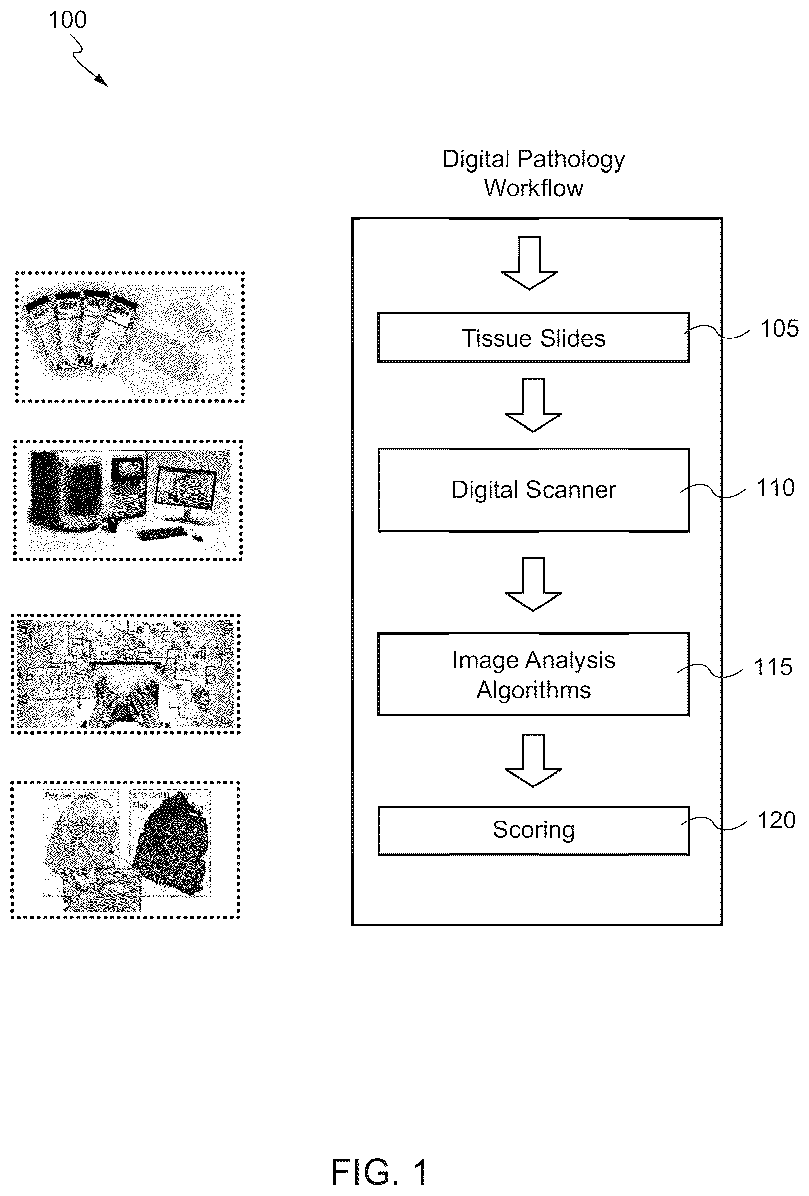 Patent US12361550 — Correcting differences in multi-scanners for digital pathology images using deep learning — Figure 1