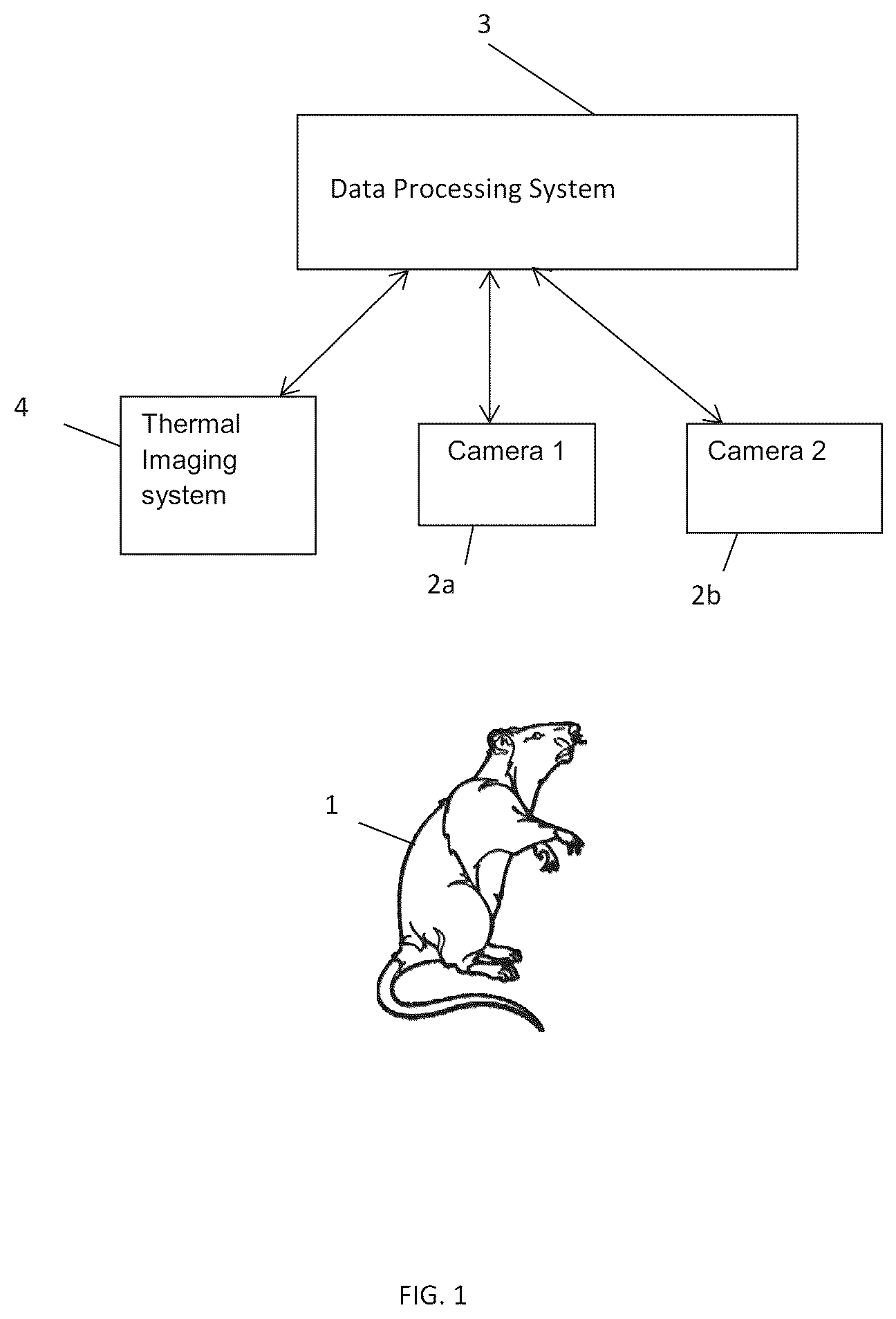 Patent US12361554 — Systems and methods for segmentation and measurement of a skin abnormality — Figure 1