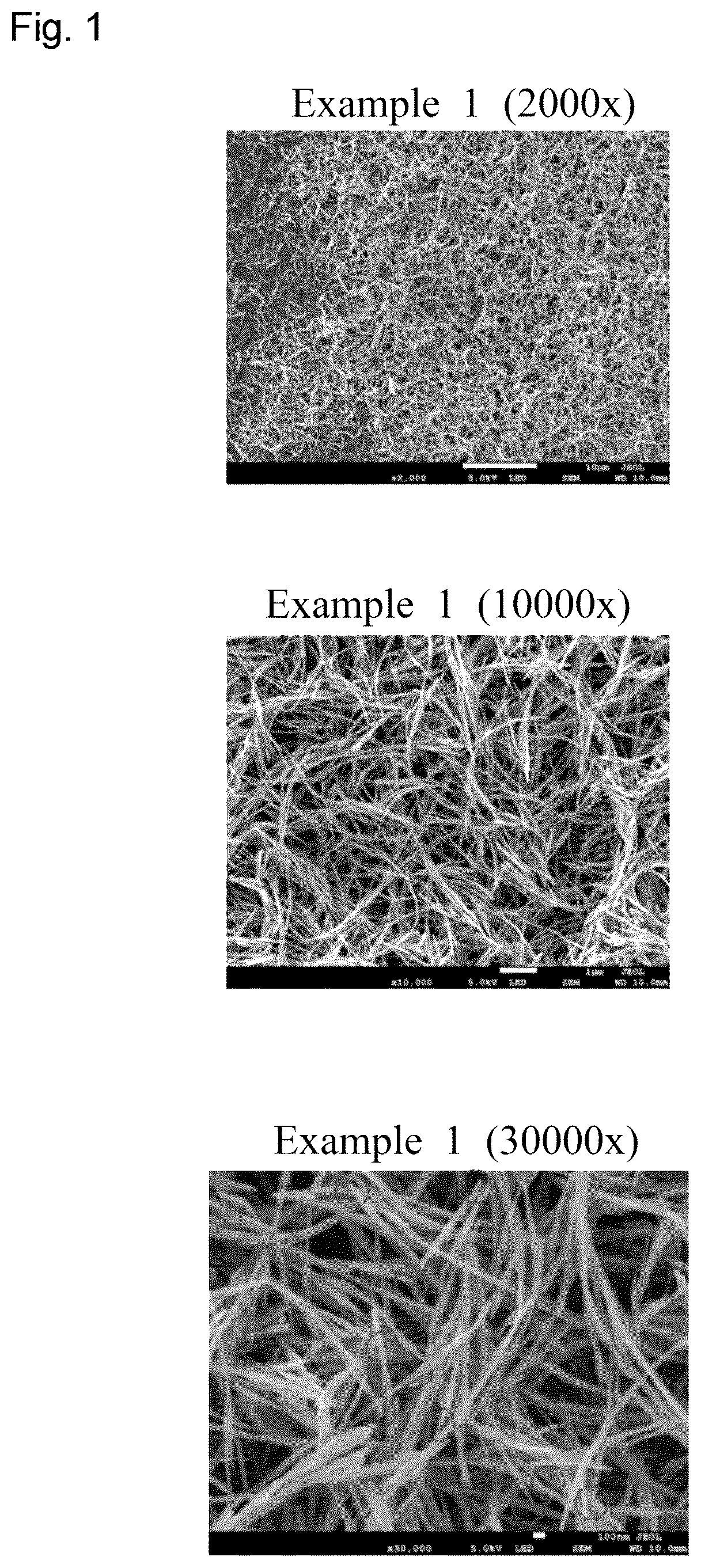 Patent US12365025 — Fine metal linear body — Figure 1