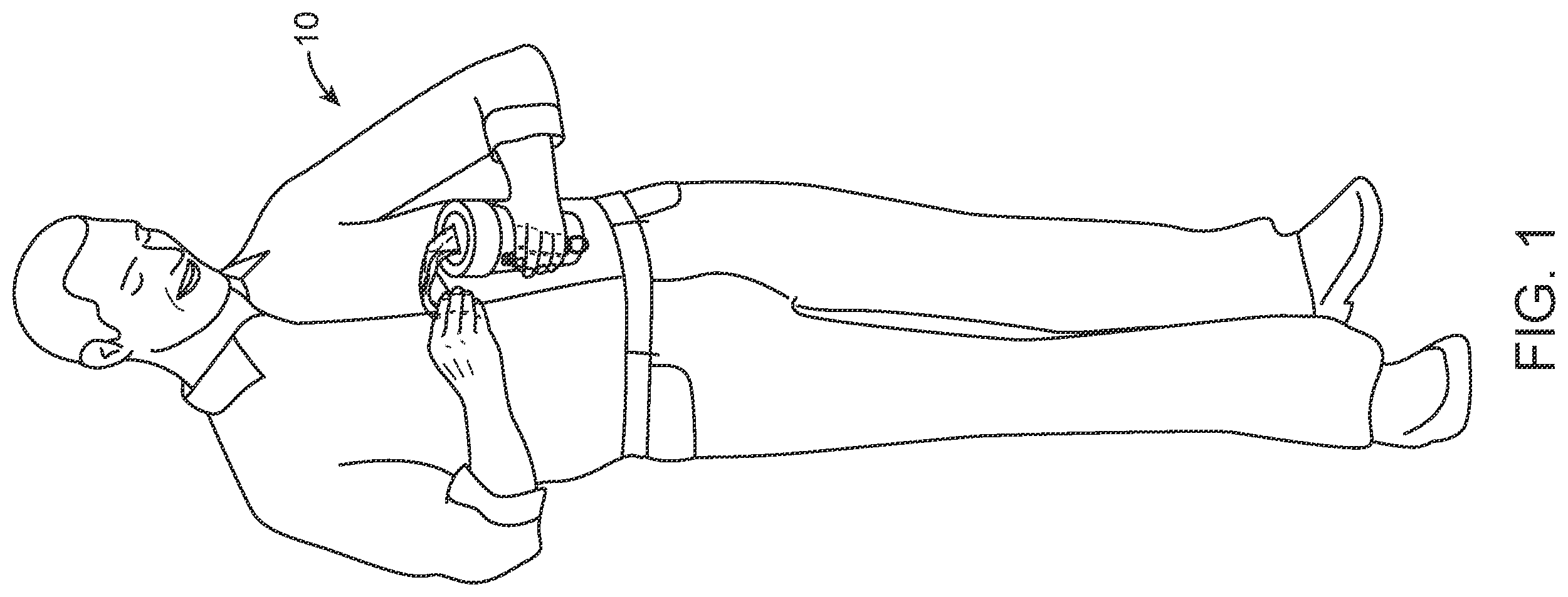 Patent US12365530 — Dog waste storage container and bag dispenser — Figure 1