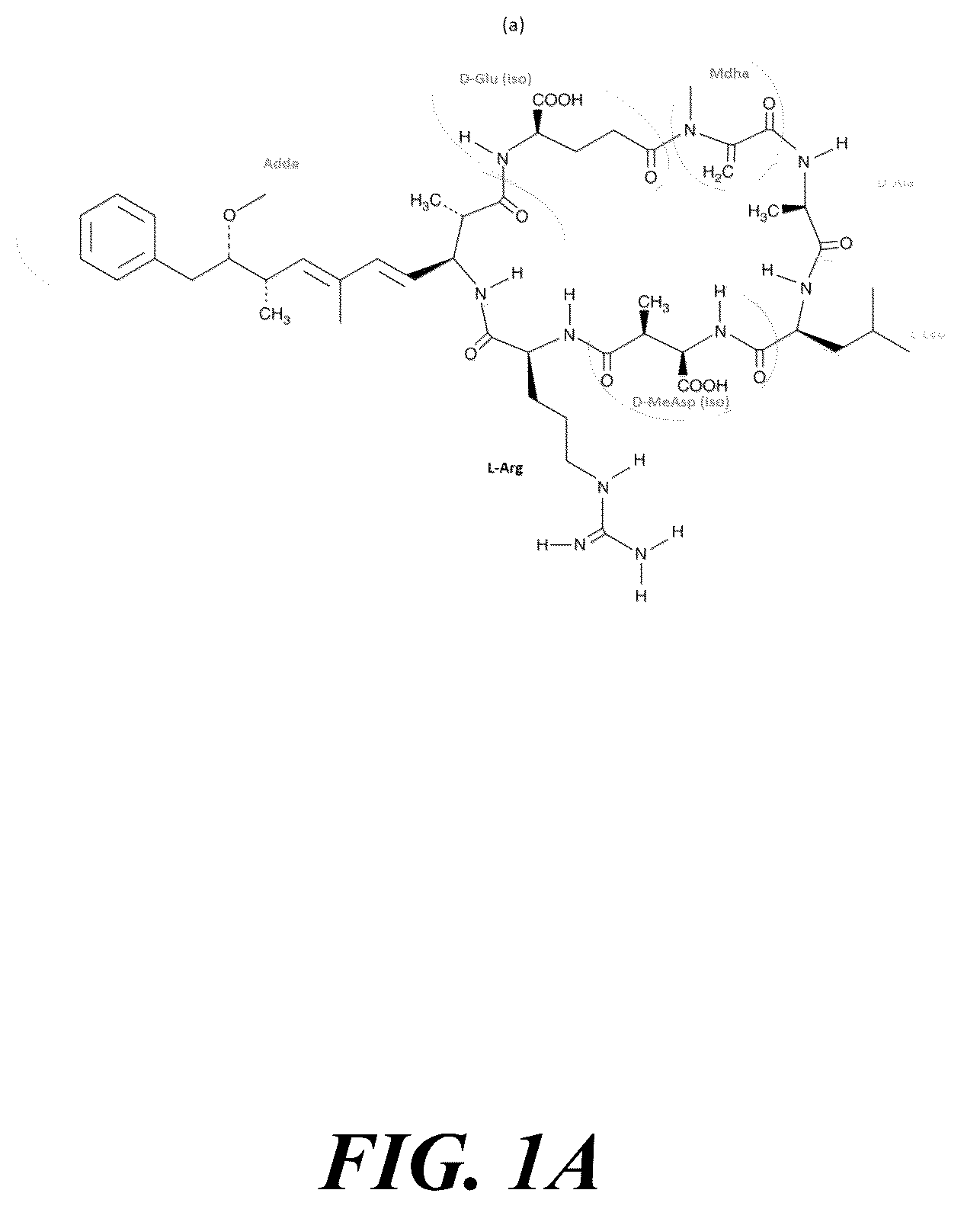 Patent US12365604 — Synergistic green sorption media for cyanobacterial toxin remediation — Figure 1