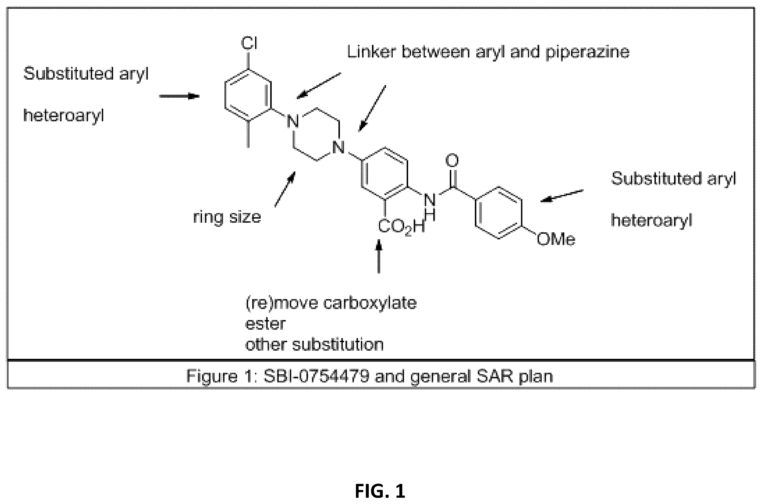 Patent US12365659 Figure 1 – Non-polyamine based polyamine transport inhibitors and their use in the treatment of human cancers