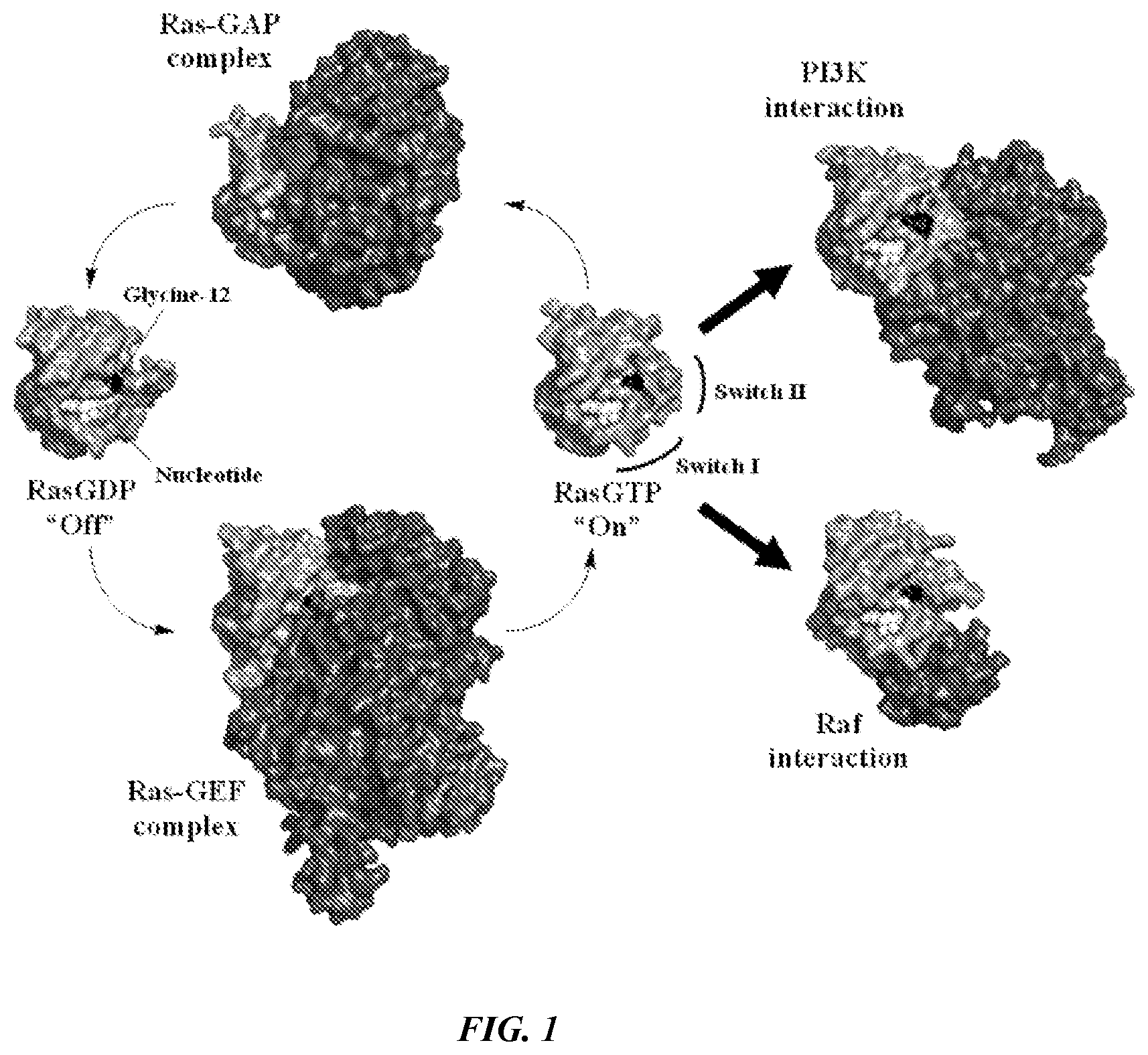 Patent US12365693 — Compositions and methods for treating cancer — Figure 1
