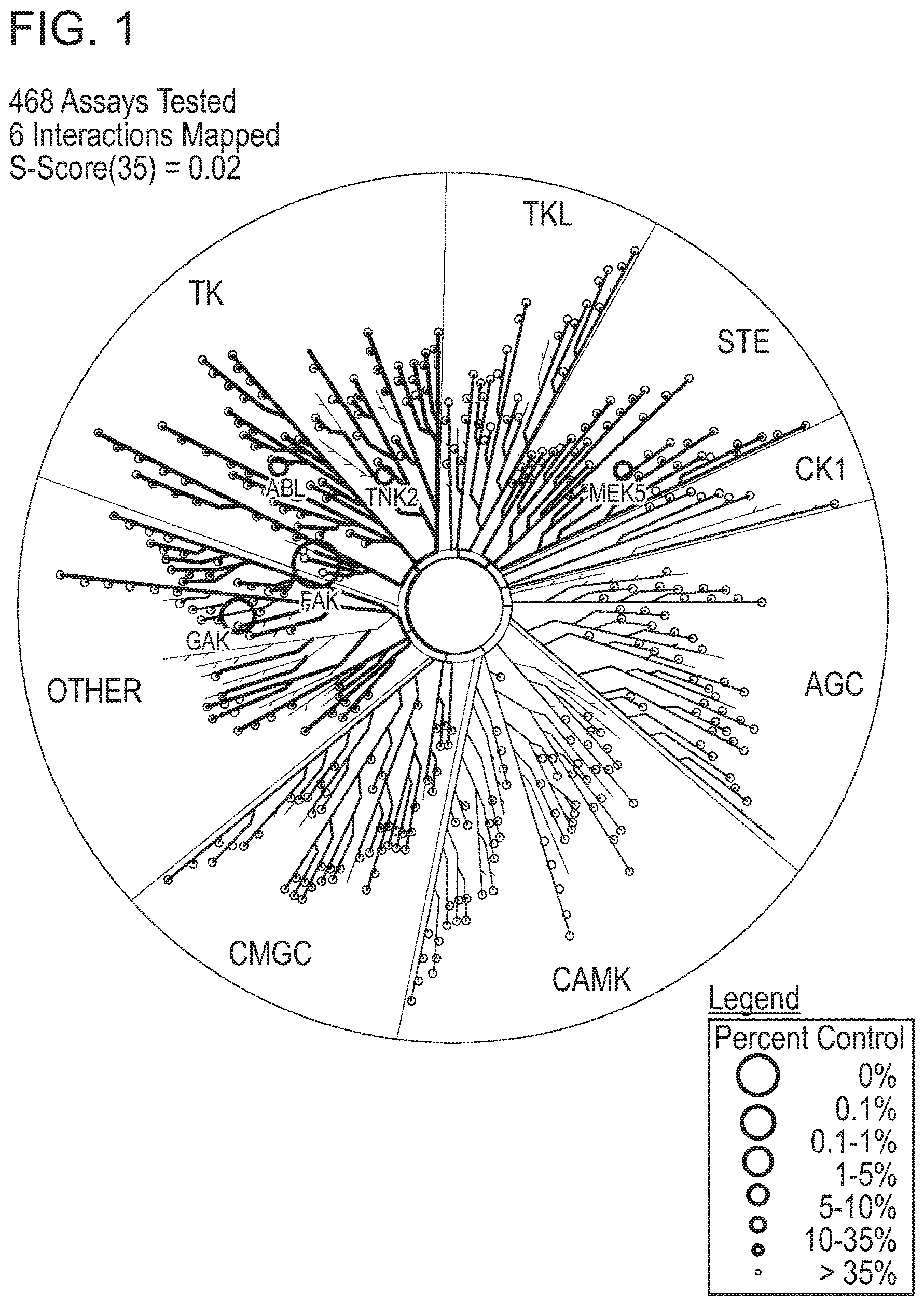 Patent US12365696 Figure 1 – Small-molecule focal adhesion kinase (FAK) inhibitors