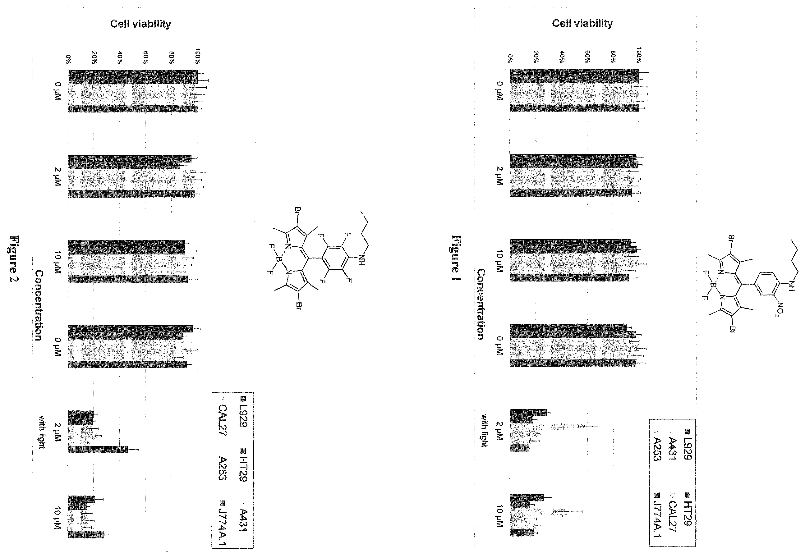 Patent US12365698 — Application of boron dipyrromethene derivatives in anti-tumor and anti-bacterial therapy — Figure 1