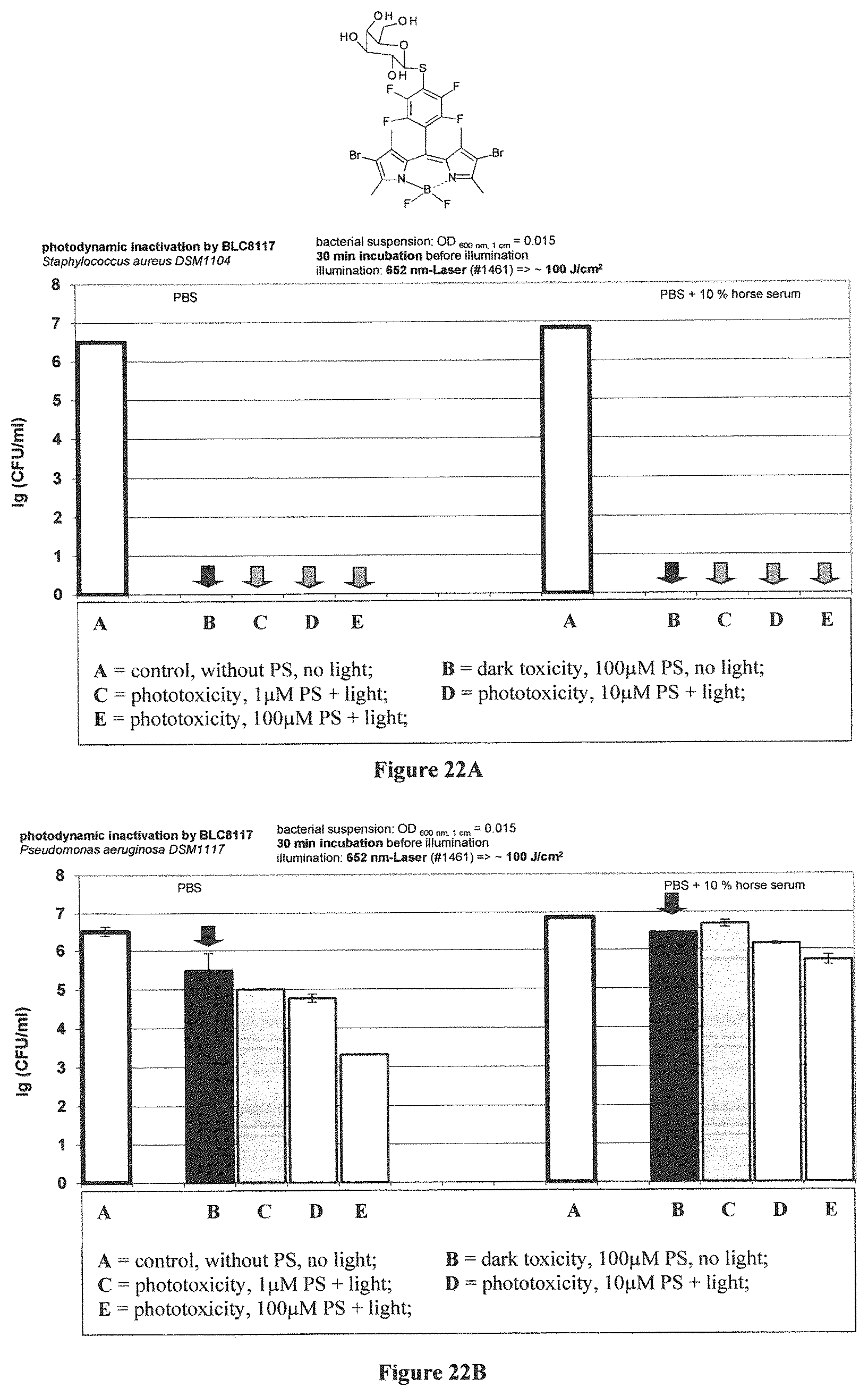 Patent US12365698 Figure 13 – Application of boron dipyrromethene derivatives in anti-tumor and anti-bacterial therapy