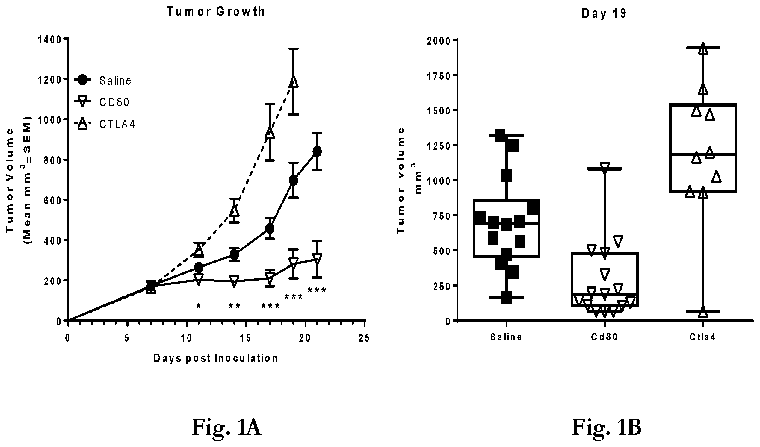 Patent US12365719 — CD80 extracellular domain polypeptides and their use in cancer treatment — Figure 1